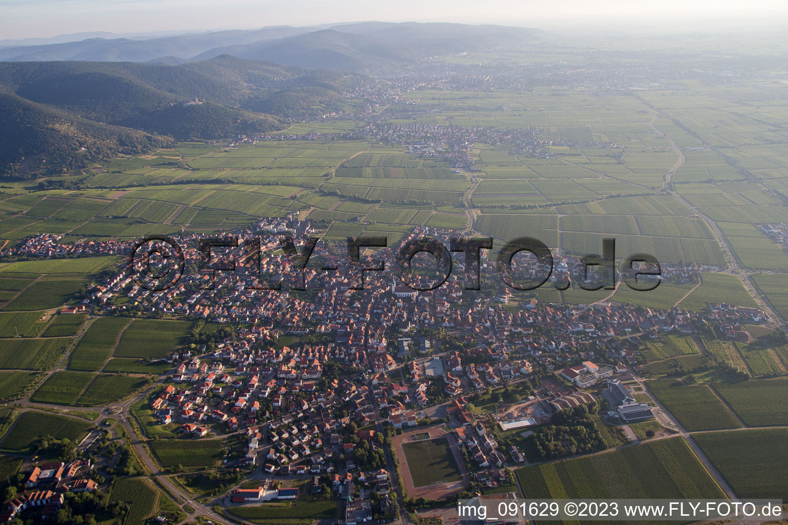 Luftaufnahme von Edenkoben im Bundesland Rheinland-Pfalz, Deutschland