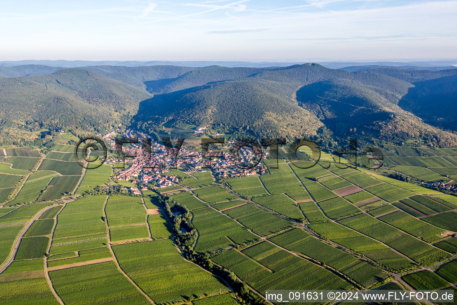 Dorf - Ansicht am Rande der Haardt des Pfälzerwalds zwischen Weinbergen in Sankt Martin im Bundesland Rheinland-Pfalz, Deutschland