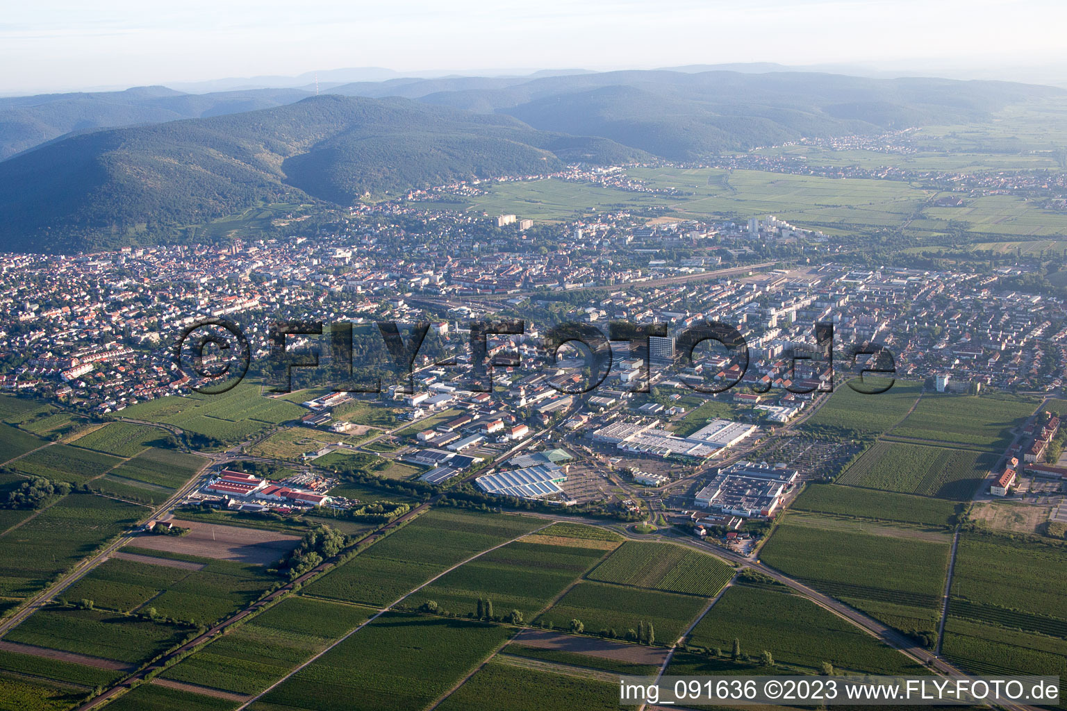 Luftaufnahme von Neustadt an der Weinstraße im Bundesland Rheinland-Pfalz, Deutschland