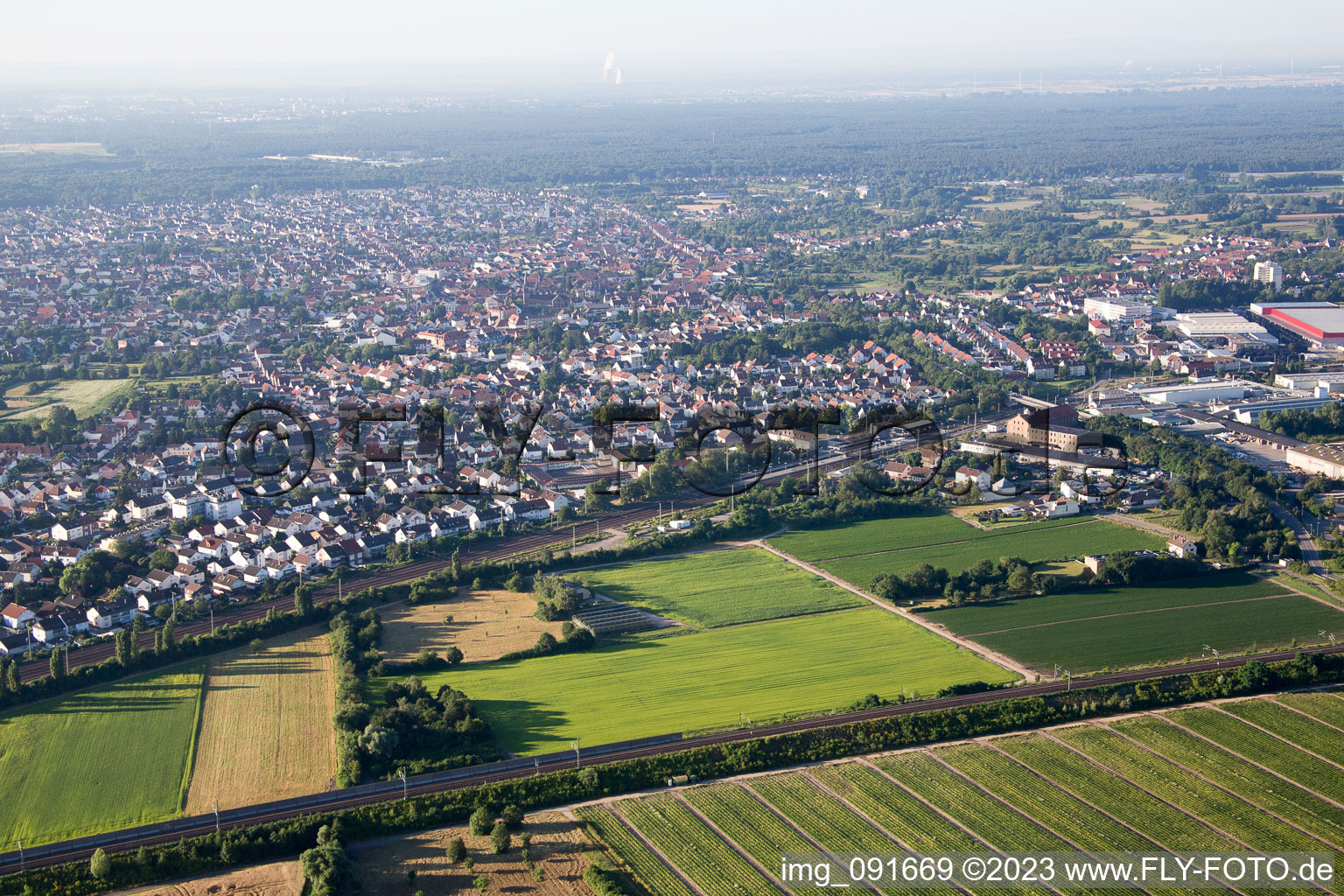 Schifferstadt im Bundesland Rheinland-Pfalz, Deutschland aus der Luft