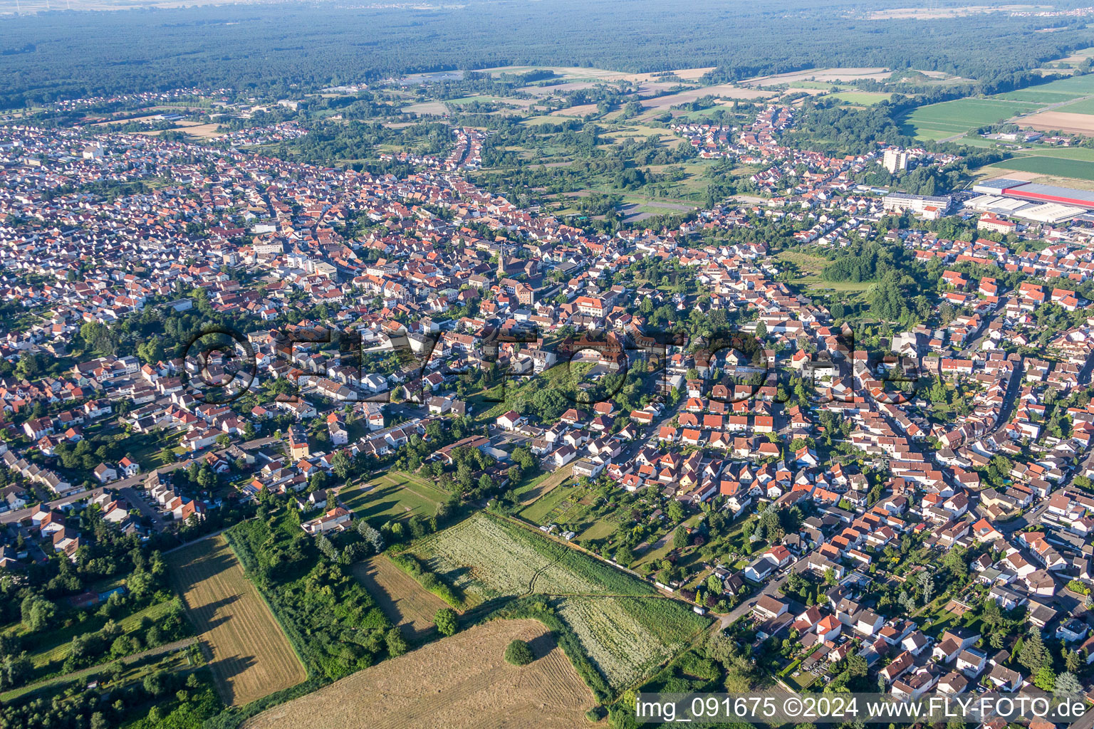 Stadtgebiet mit Außenbezirken und Innenstadtbereich in Schifferstadt im Bundesland Rheinland-Pfalz, Deutschland