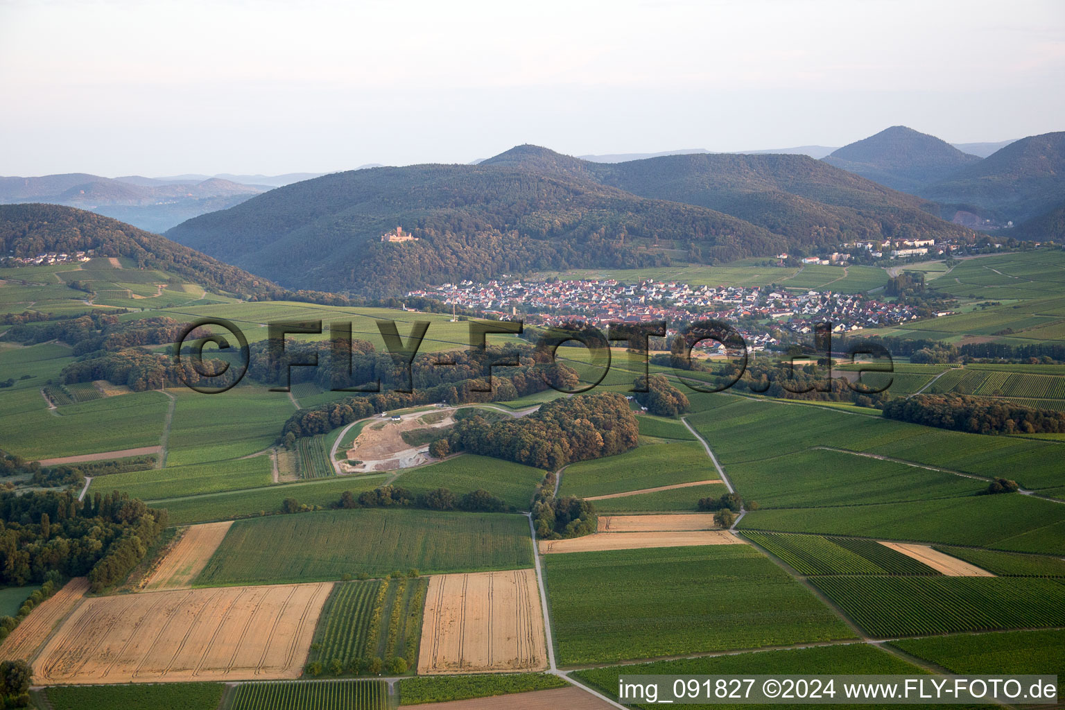 Drohnenaufname von Klingenmünster im Bundesland Rheinland-Pfalz, Deutschland