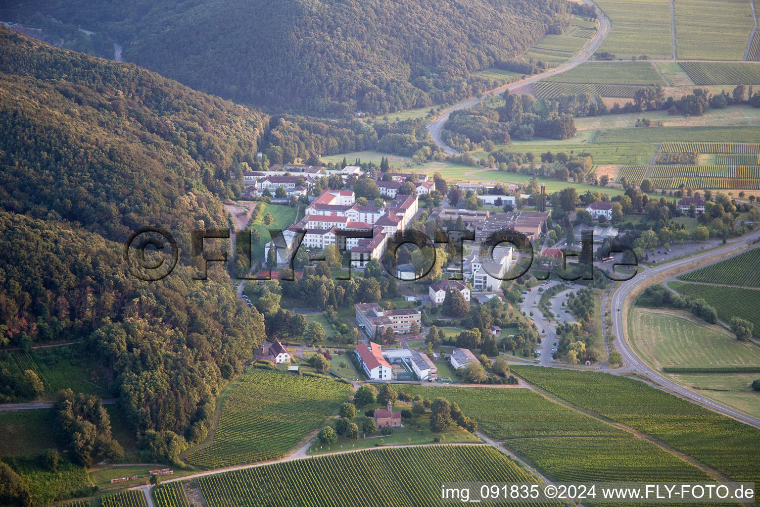 Drohnenbild von Klingenmünster im Bundesland Rheinland-Pfalz, Deutschland