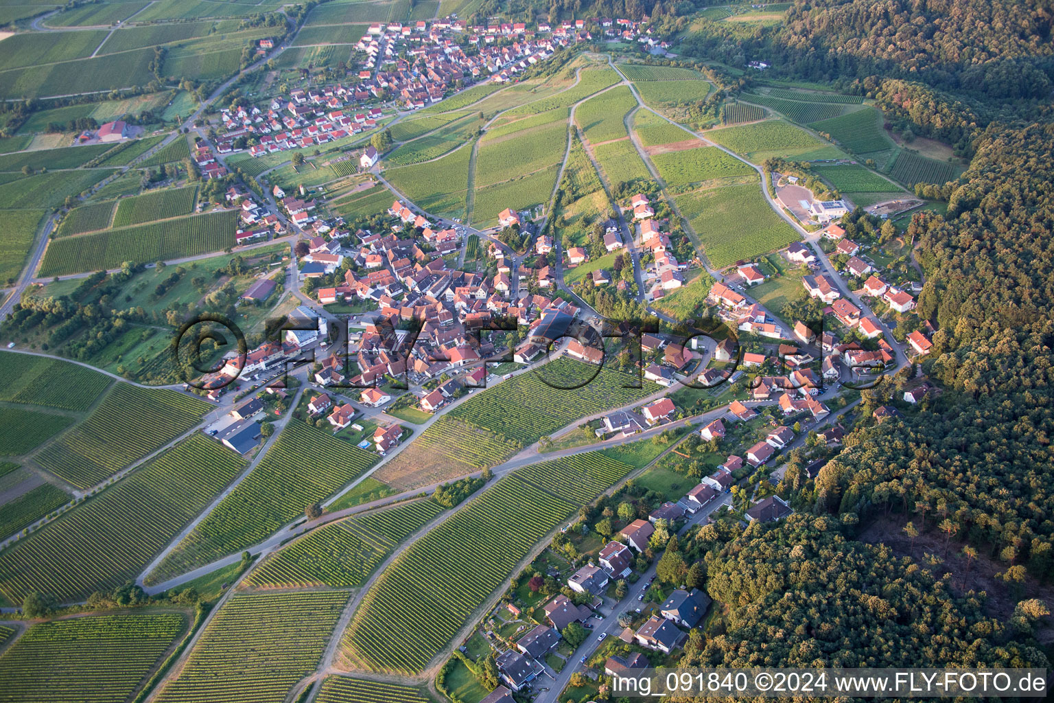 Luftbild von Dorf - Ansicht am Rande von landwirtschaftlichen Feldern und Nutzflächen in Gleiszellen-Gleishorbach im Bundesland Rheinland-Pfalz, Deutschland