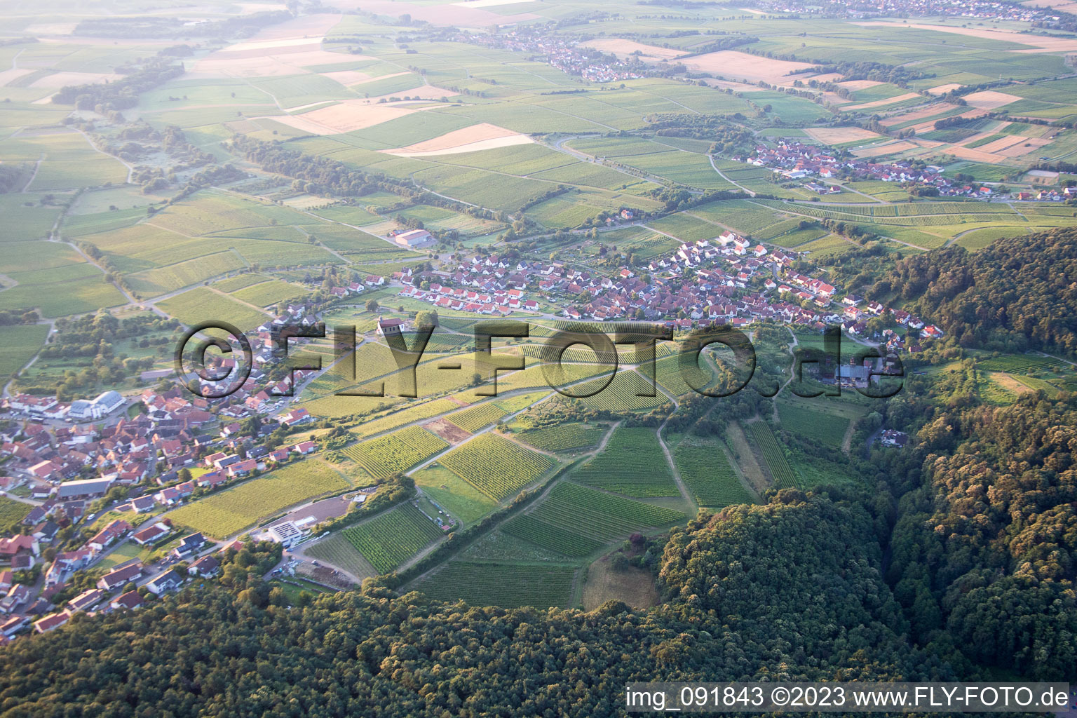 Ortsteil Gleiszellen in Gleiszellen-Gleishorbach im Bundesland Rheinland-Pfalz, Deutschland vom Flugzeug aus