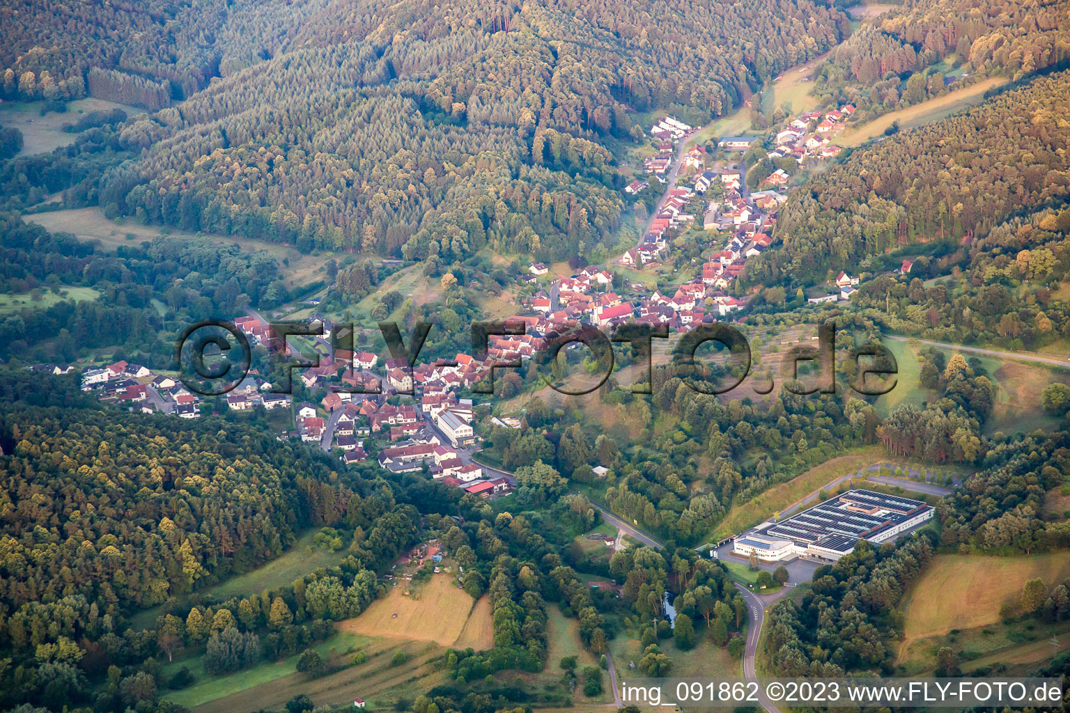 Luftaufnahme von Schwanheim im Bundesland Rheinland-Pfalz, Deutschland