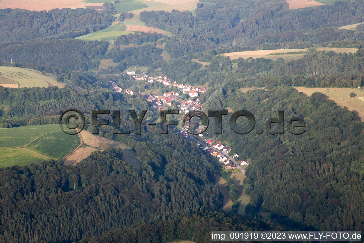 Labach im Bundesland Rheinland-Pfalz, Deutschland von oben