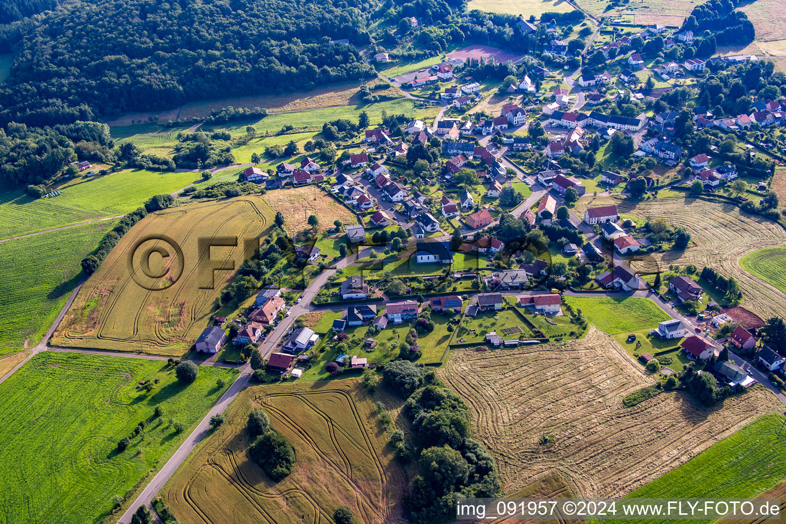 Luftbild von Dorf - Ansicht am Rande von landwirtschaftlichen Feldern und Nutzflächen in Reitscheid in Freisen im Bundesland Saarland, Deutschland