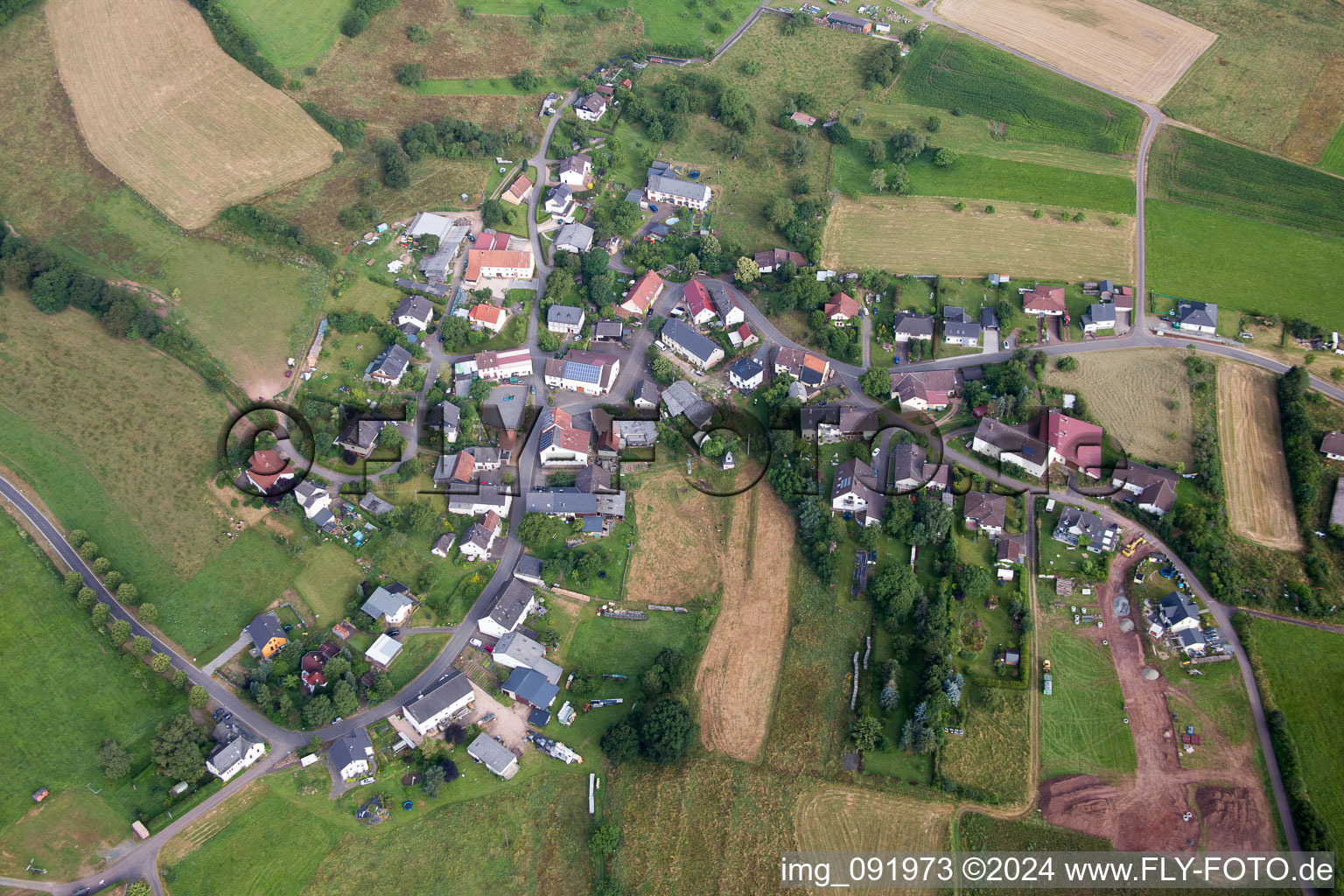 Dambach im Bundesland Rheinland-Pfalz, Deutschland aus der Vogelperspektive