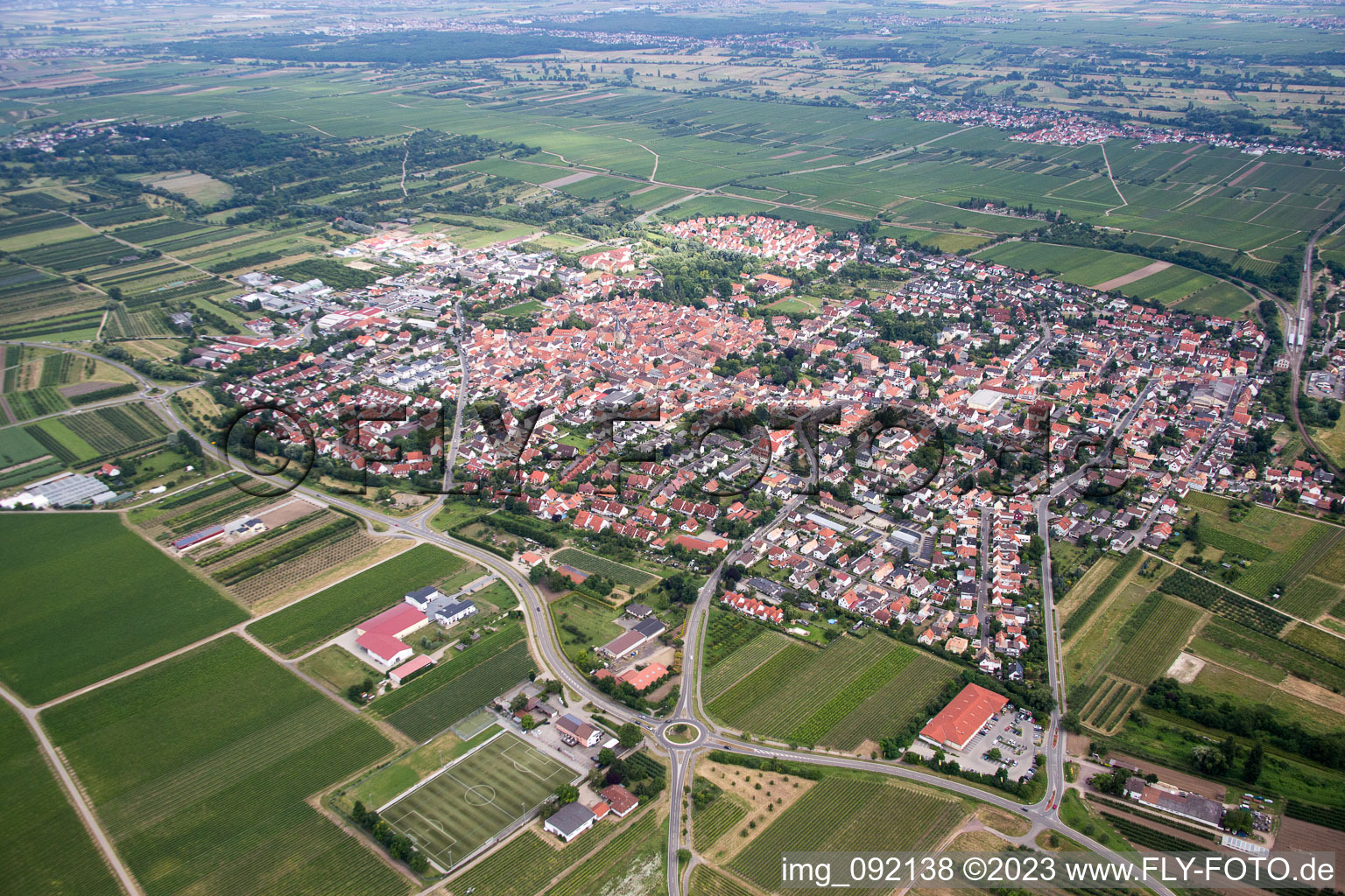 Freinsheim im Bundesland Rheinland-Pfalz, Deutschland aus der Luft