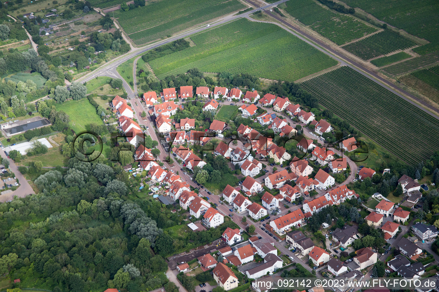 Freinsheim im Bundesland Rheinland-Pfalz, Deutschland vom Flugzeug aus