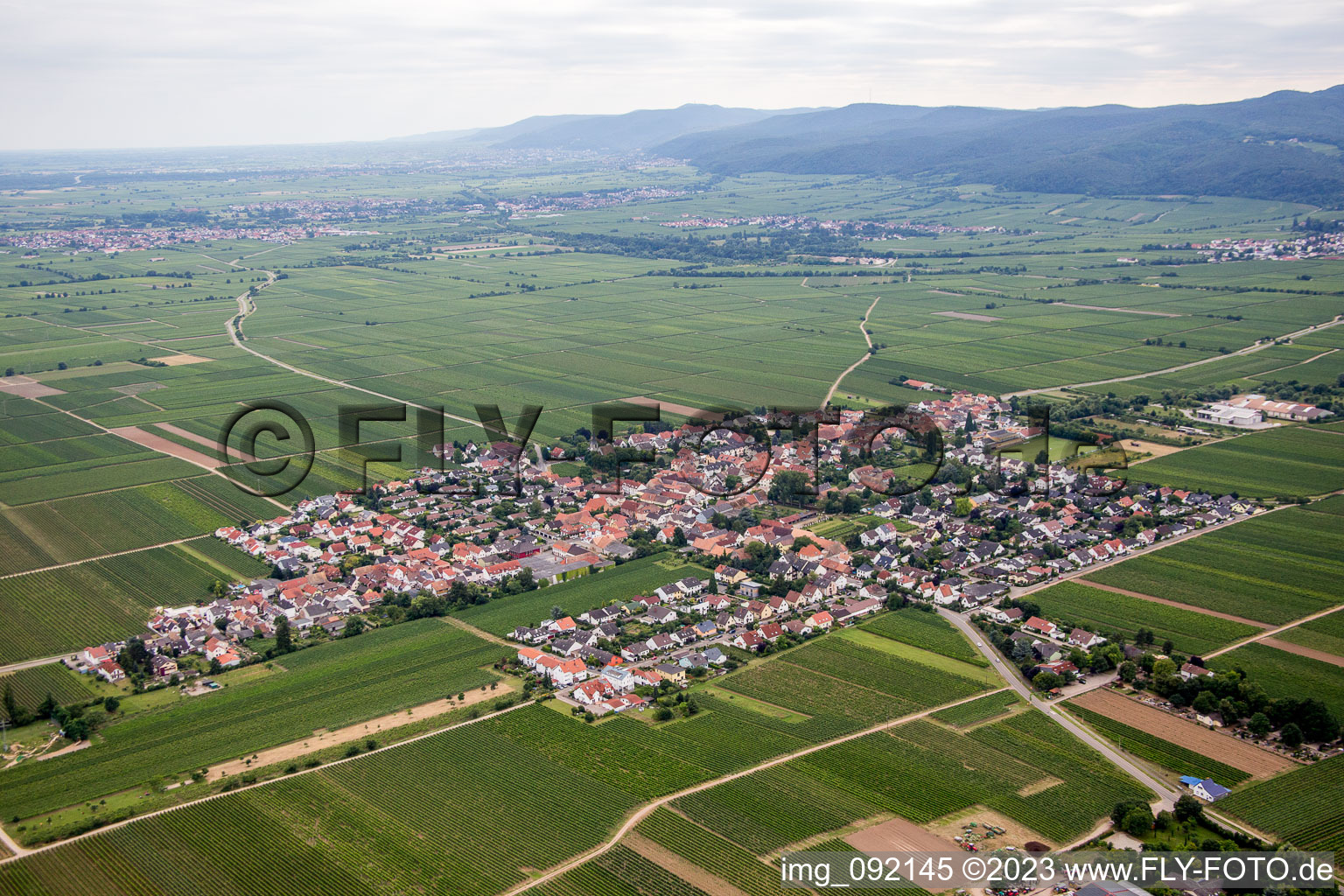 Luftbild von Gönnheim im Bundesland Rheinland-Pfalz, Deutschland