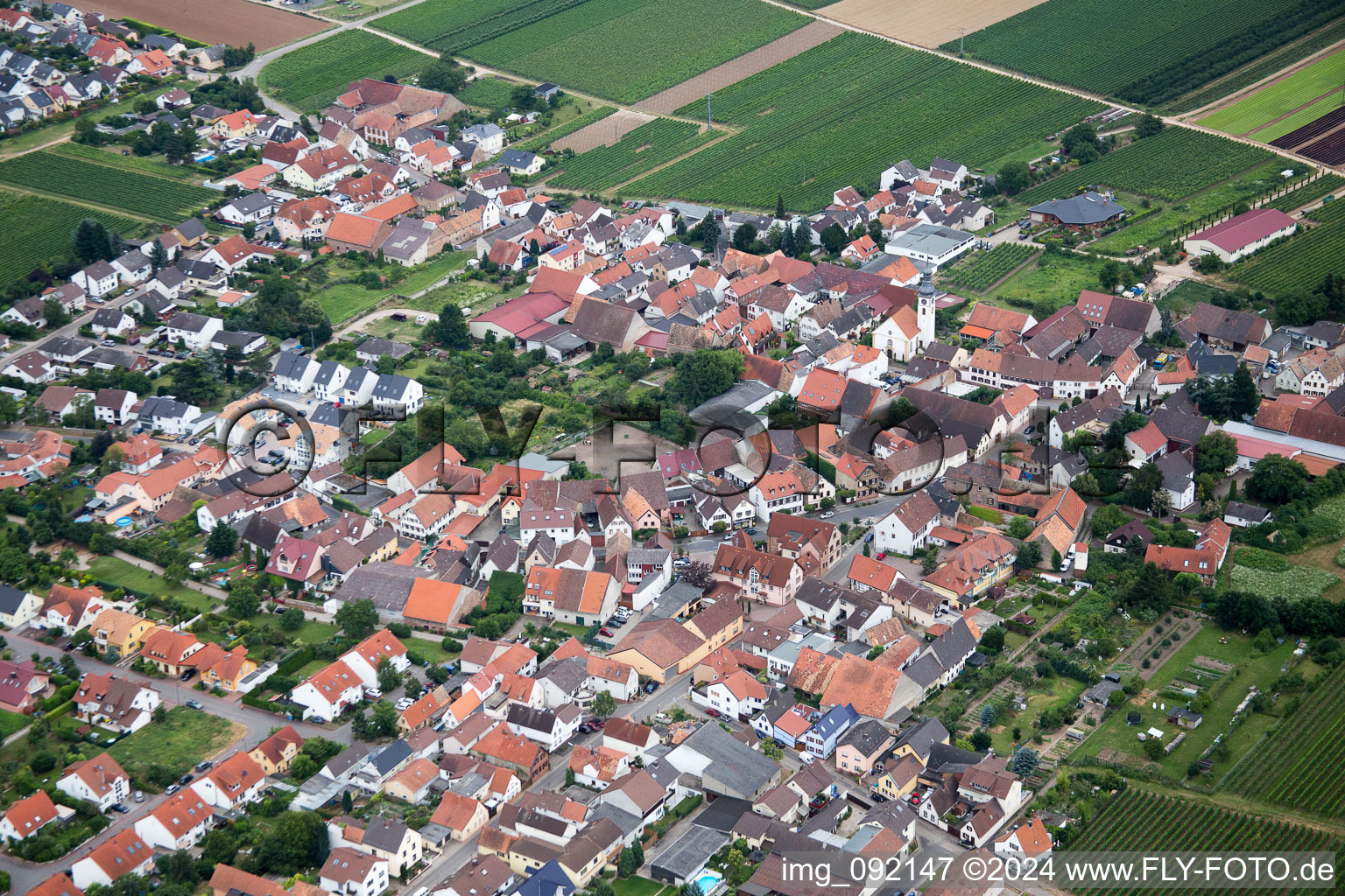 Dorf - Ansicht am Rande von landwirtschaftlichen Feldern und Nutzflächen in Gönnheim im Bundesland Rheinland-Pfalz, Deutschland