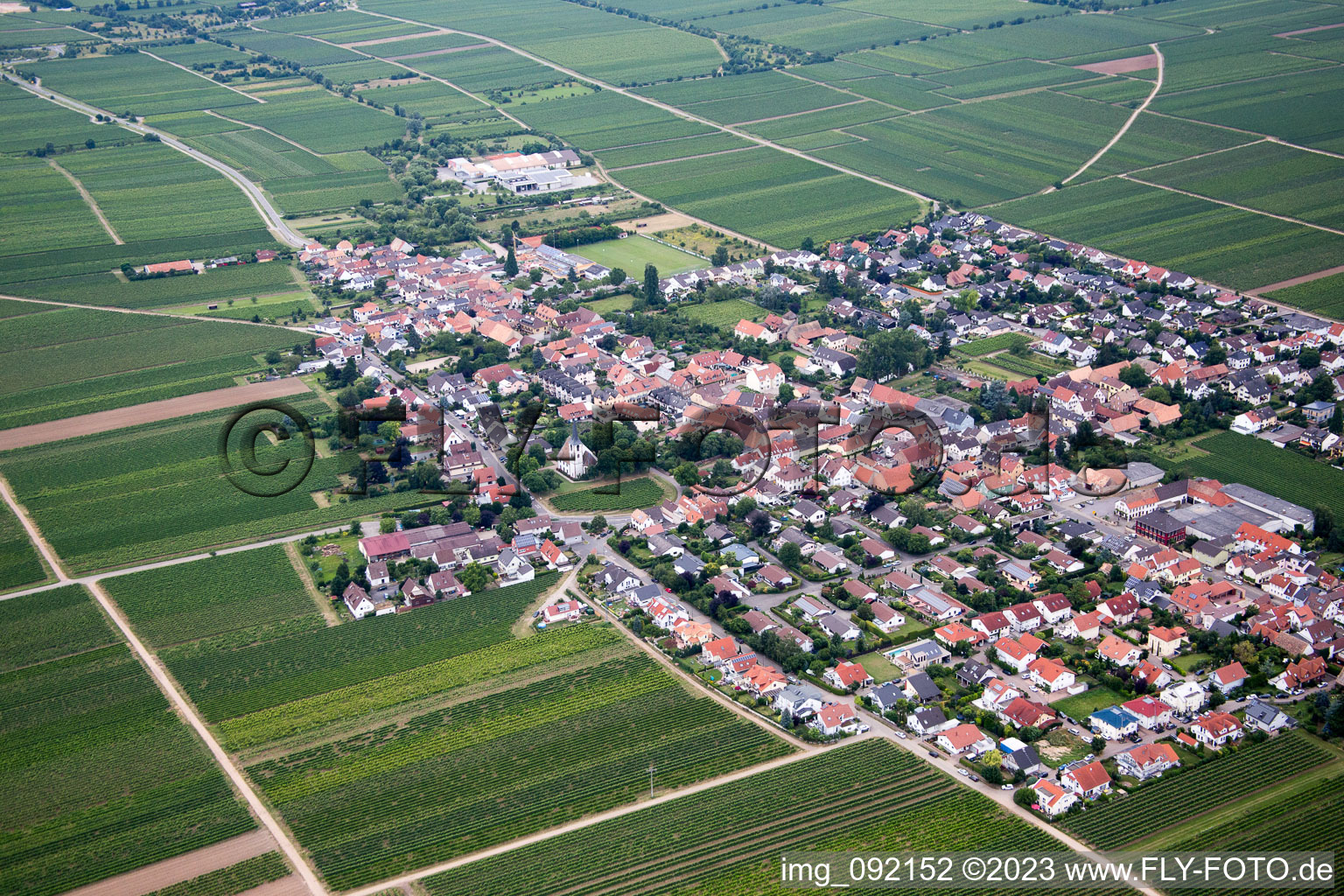 Gönnheim im Bundesland Rheinland-Pfalz, Deutschland aus der Luft