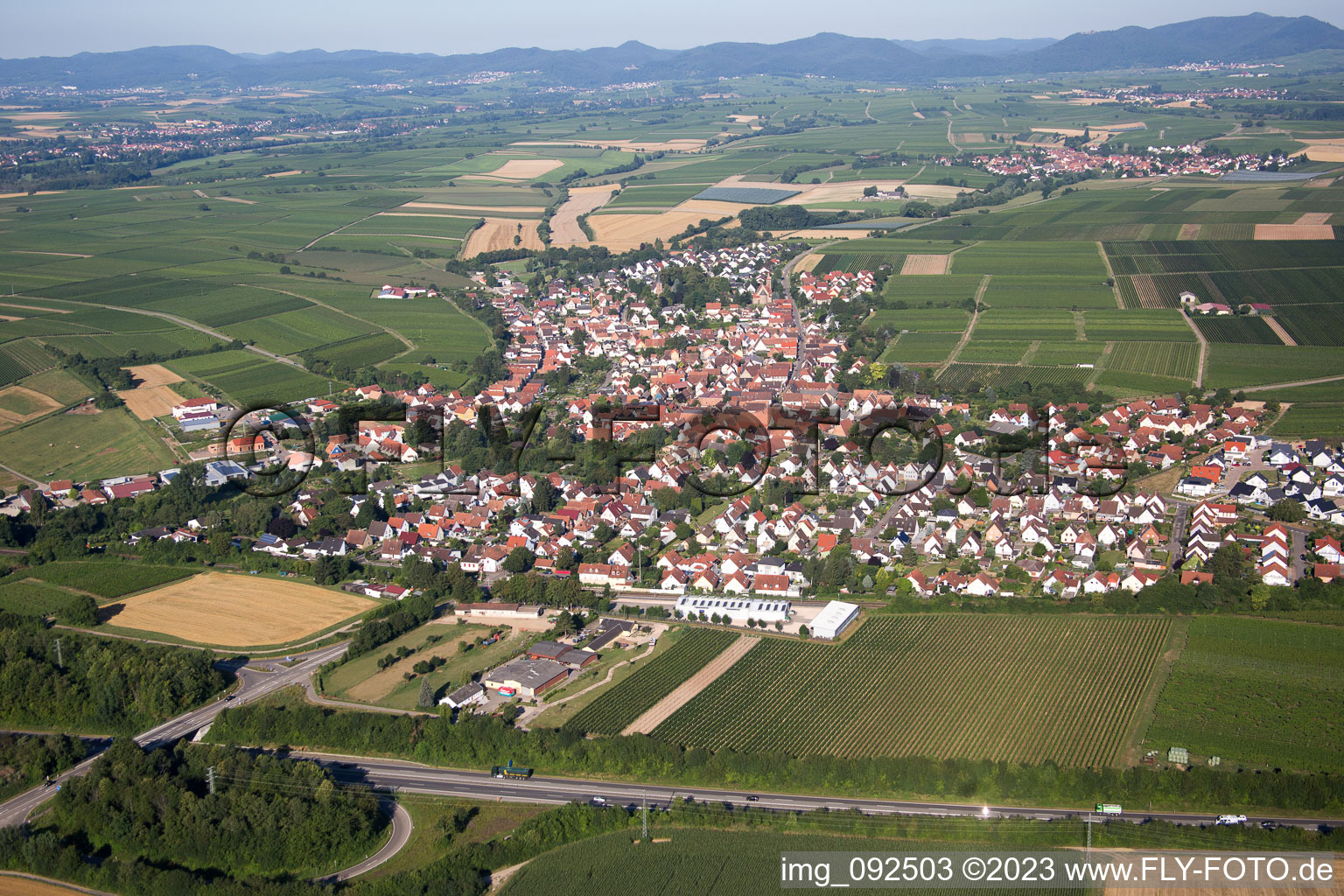Insheim im Bundesland Rheinland-Pfalz, Deutschland aus der Luft betrachtet