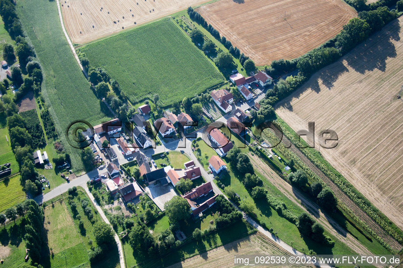 Ortsteil Kleinsteinfeld in Niederotterbach im Bundesland Rheinland-Pfalz, Deutschland vom Flugzeug aus