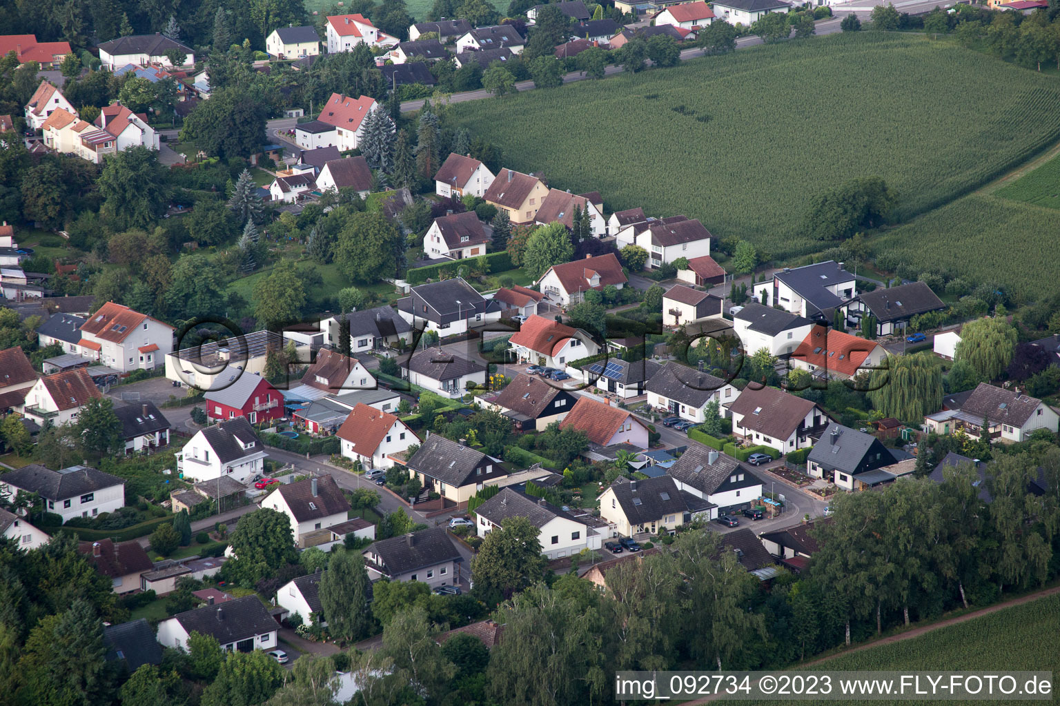 Billigheim-Ingenheim, Maxburgstr im Bundesland Rheinland-Pfalz, Deutschland von oben