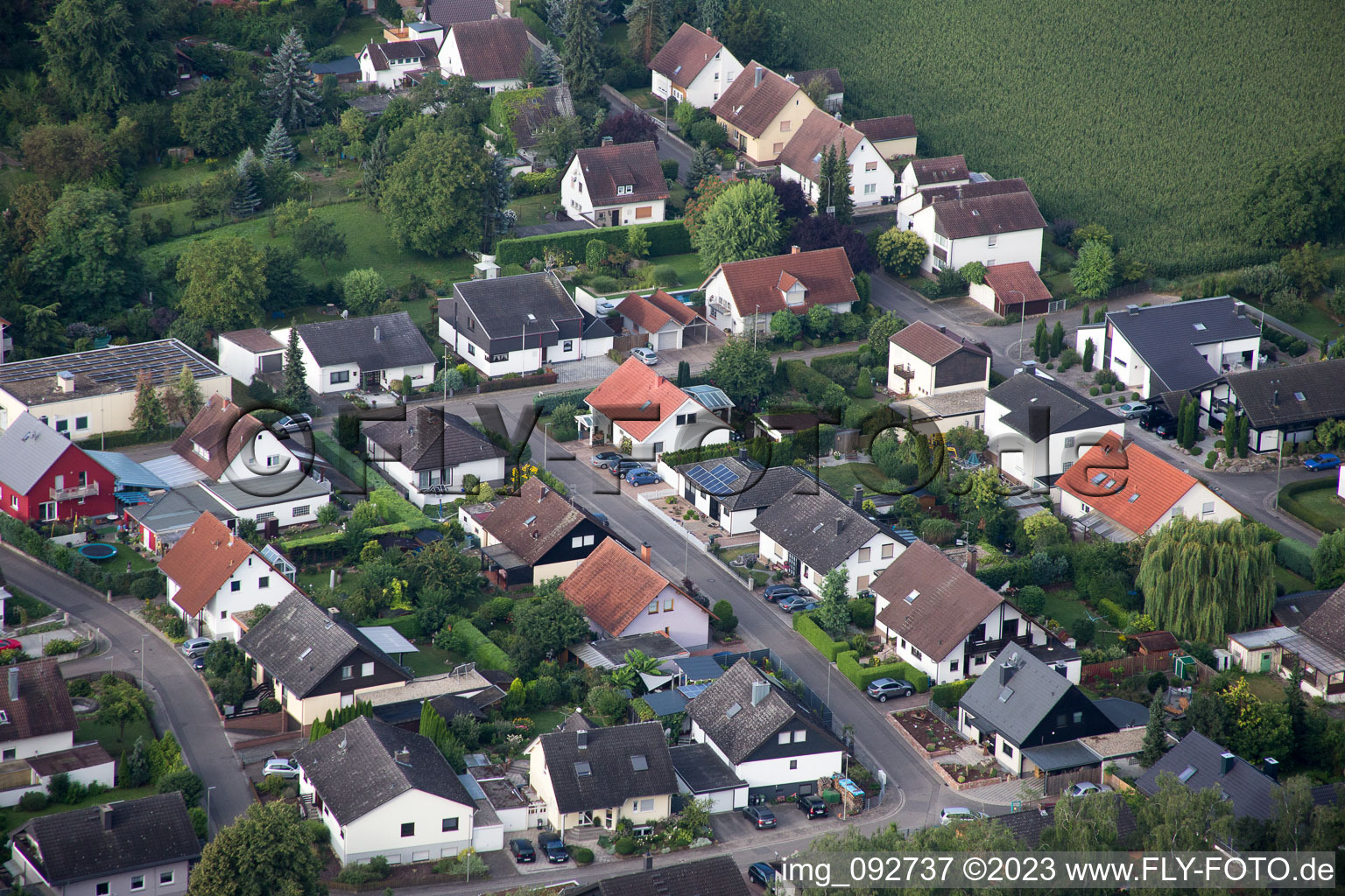 Billigheim-Ingenheim, Maxburgstr im Bundesland Rheinland-Pfalz, Deutschland aus der Luft