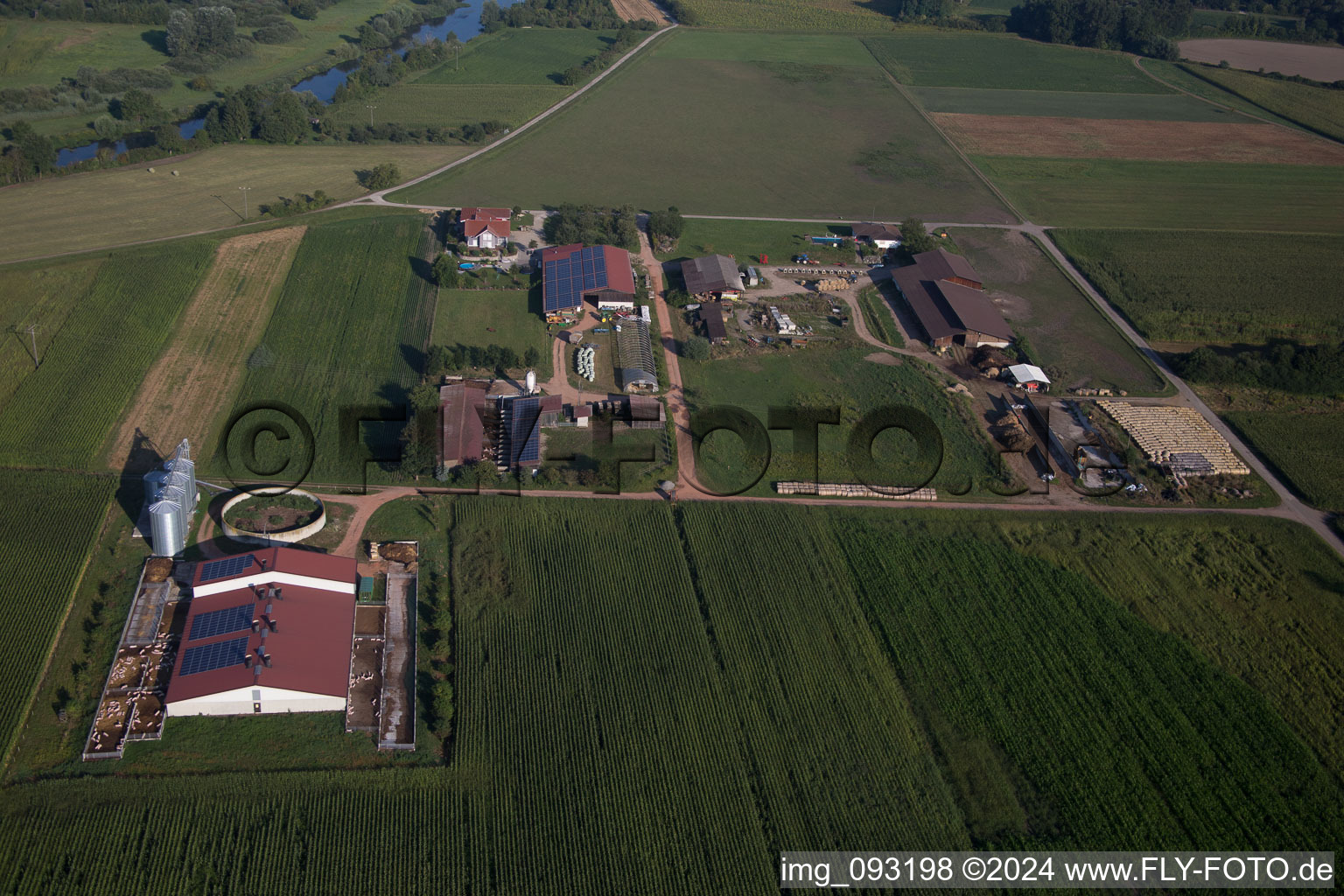 Luftbild von Gehöft eines Bauernhofes von Herbert Wollenbär im Ortsteil Ichenheim in Neuried im Bundesland Baden-Württemberg, Deutschland