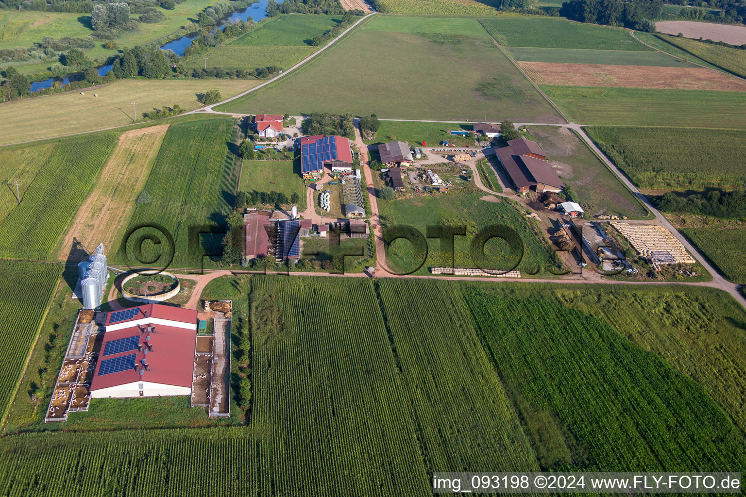 Luftbild von Gehöft eines Bauernhofes von Herbert Wollenbär im Ortsteil Ichenheim in Neuried im Bundesland Baden-Württemberg, Deutschland