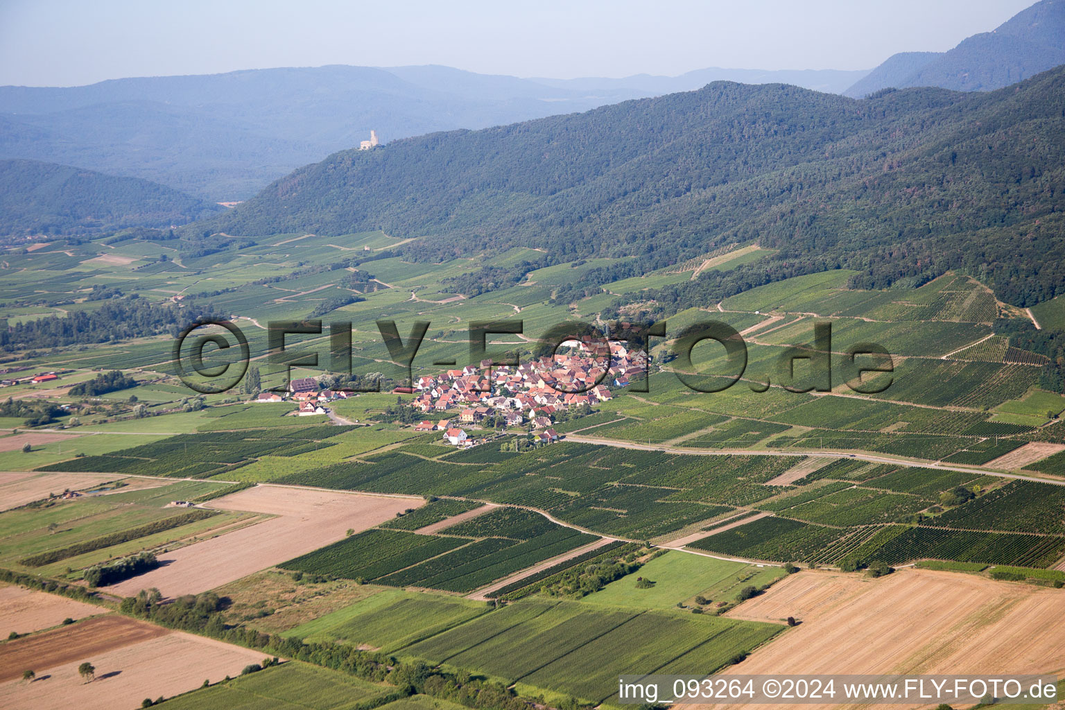 Dorf - Ansicht am Rande von landwirtschaftlichen Feldern und Nutzflächen in Dieffenthal in Grand Est im Bundesland Bas-Rhin, Frankreich