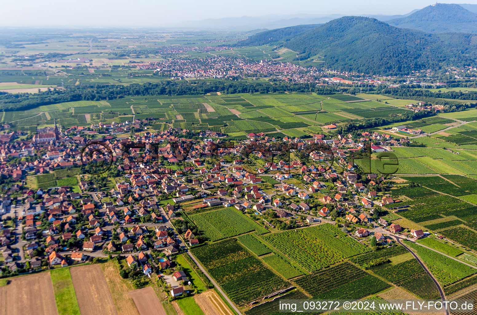 Luftbild von Ortsansicht der Straßen und Häuser der Wohngebiete in Scherwiller in Grand Est im Bundesland Bas-Rhin, Frankreich