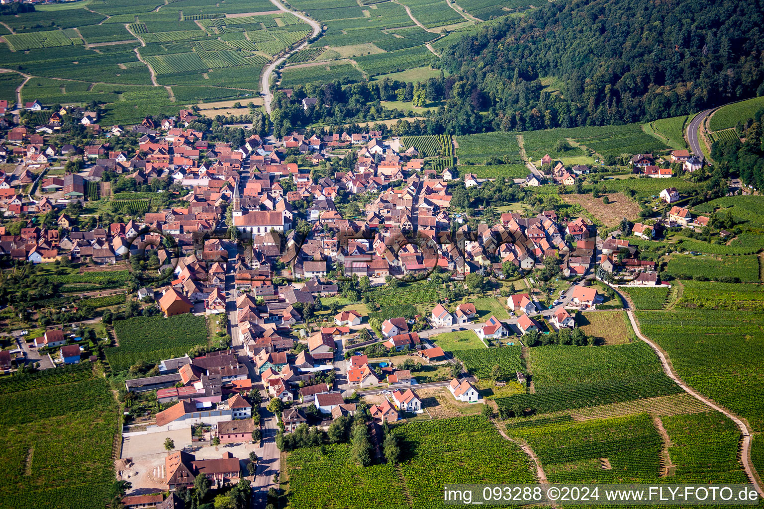 Dorf - Ansicht am Rande von landwirtschaftlichen Feldern und Nutzflächen in Kintzheim in Grand Est im Bundesland Bas-Rhin, Frankreich