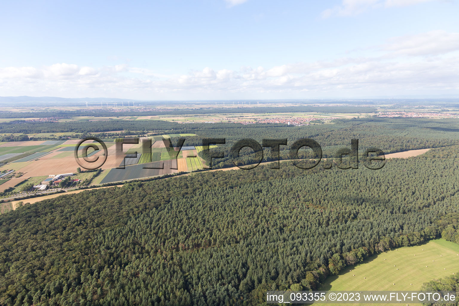 Kandel im Bundesland Rheinland-Pfalz, Deutschland von der Drohne aus gesehen