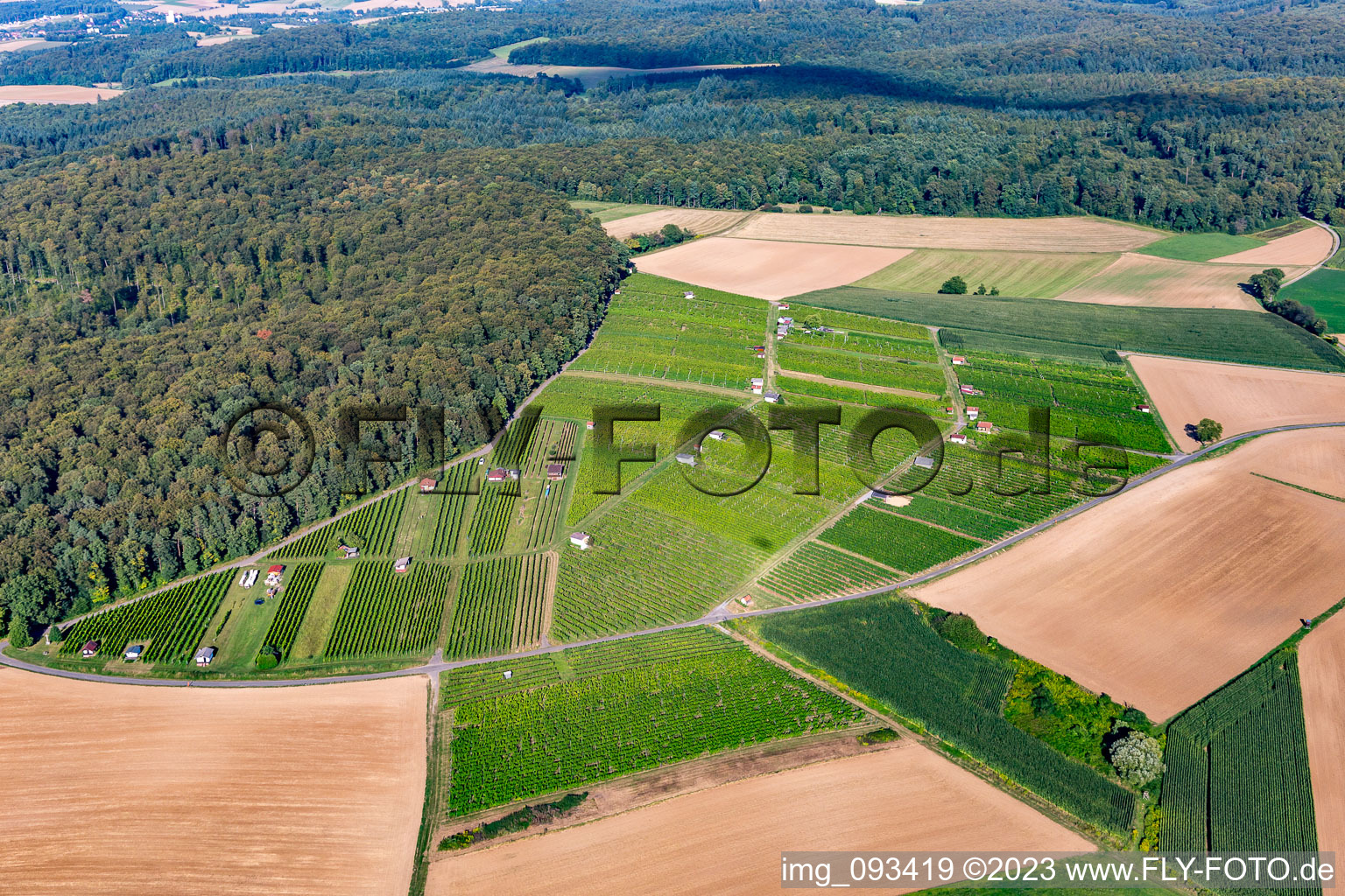 Felder einer Weinbergs- Landschaft der Winzer- Gebiete in Walzbachtal im Ortsteil Jöhlingen im Bundesland Baden-Württemberg, Deutschland