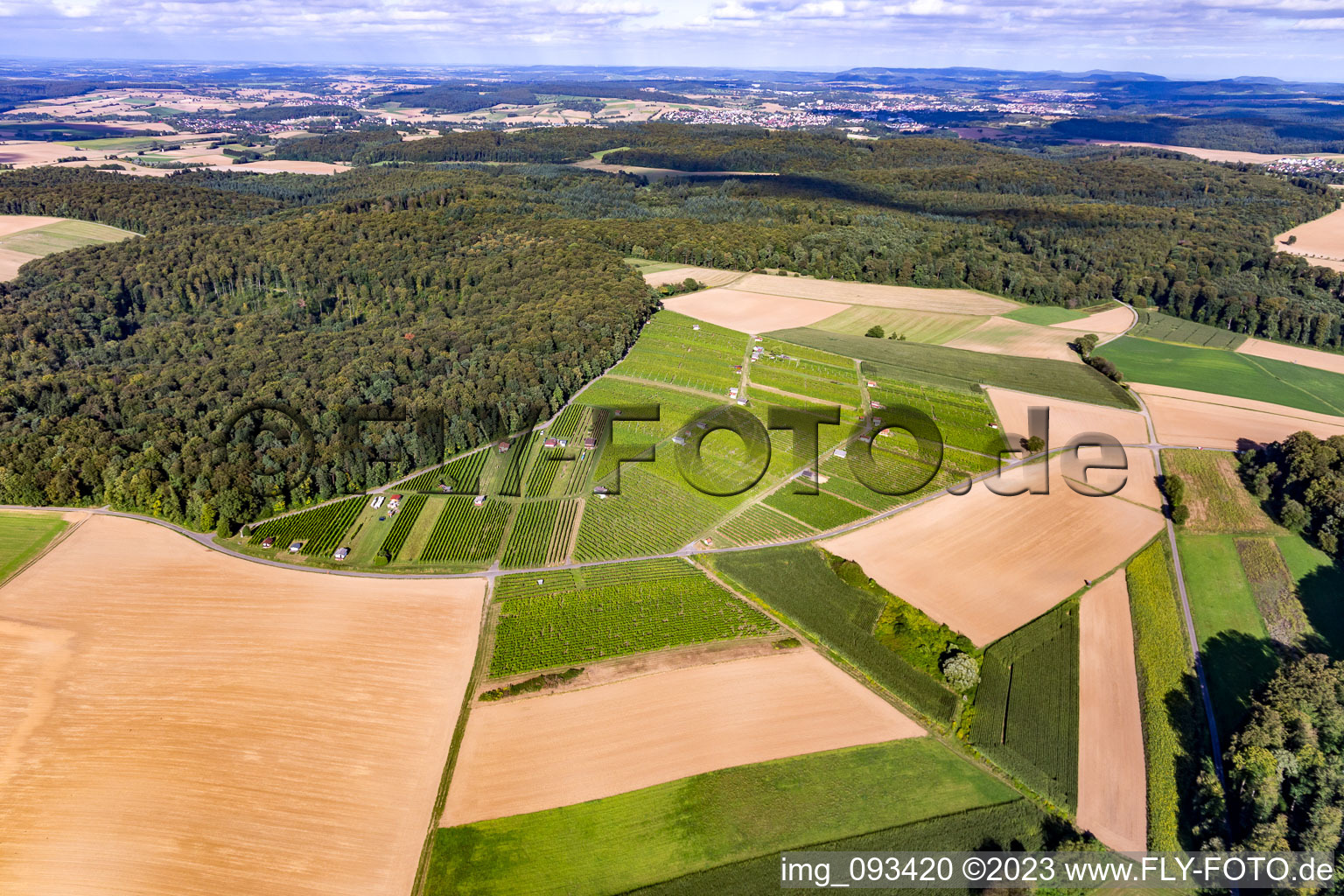Luftbild von Hasensprung (Weinbau) im Ortsteil Jöhlingen in Walzbachtal im Bundesland Baden-Württemberg, Deutschland