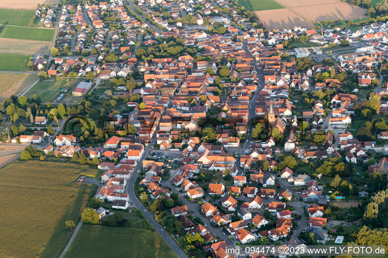 Rohrbach im Bundesland Rheinland-Pfalz, Deutschland von oben