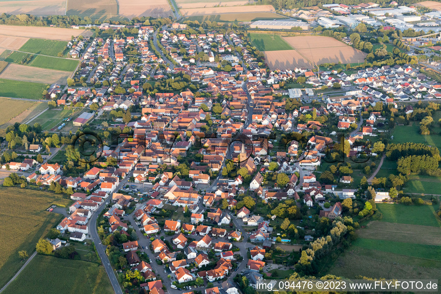 Rohrbach im Bundesland Rheinland-Pfalz, Deutschland von oben gesehen