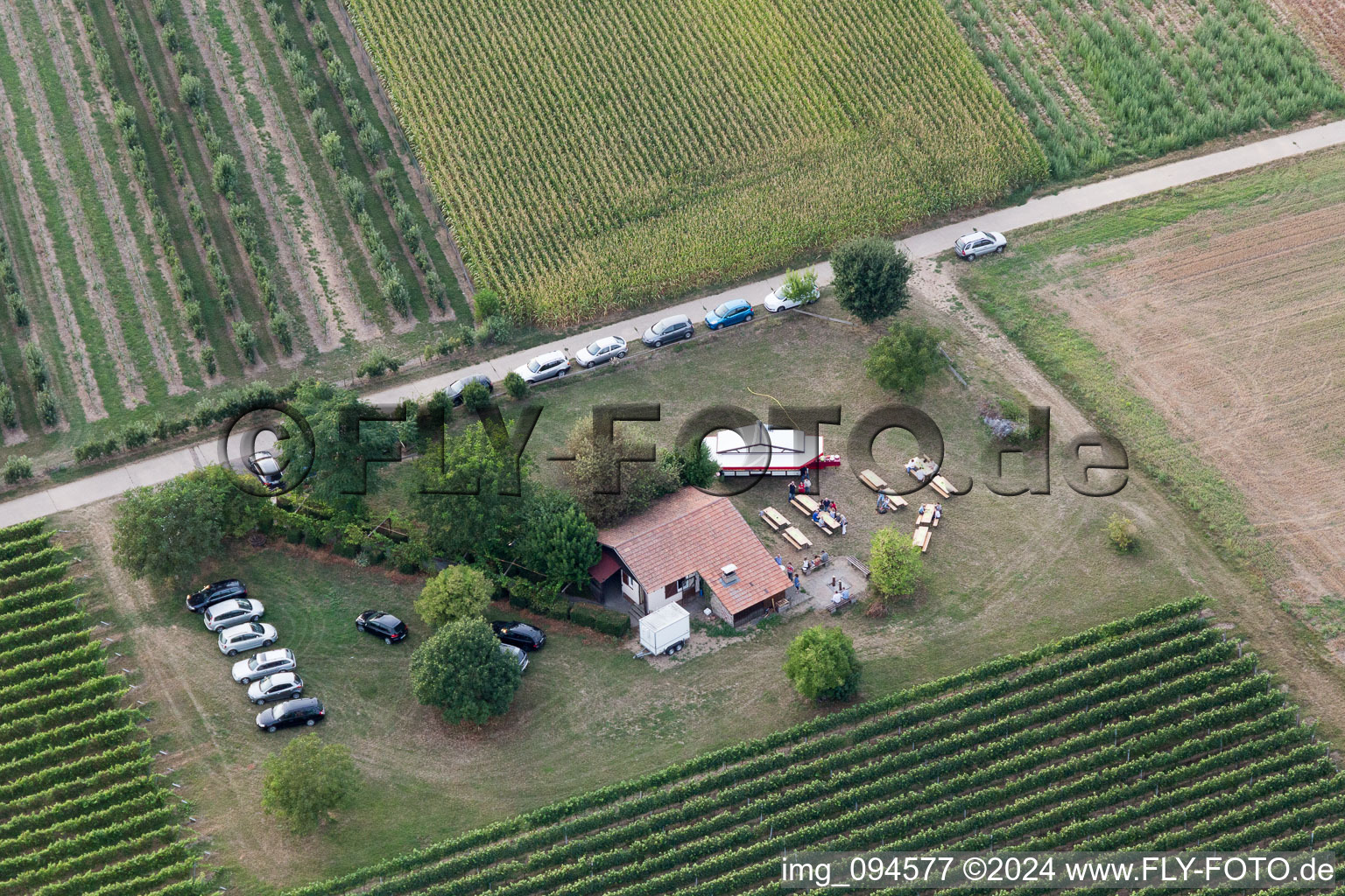 Impflingen im Bundesland Rheinland-Pfalz, Deutschland aus der Drohnenperspektive