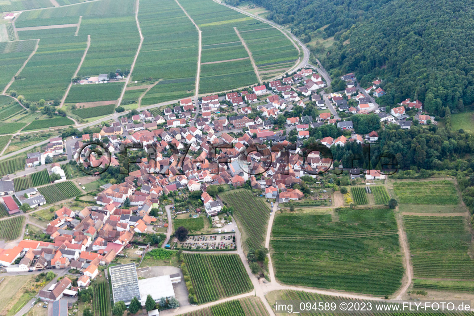 Leinsweiler im Bundesland Rheinland-Pfalz, Deutschland von einer Drohne aus