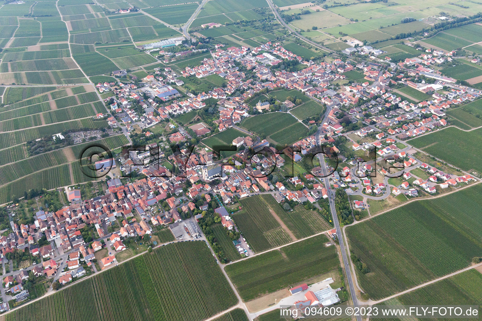 Edesheim im Bundesland Rheinland-Pfalz, Deutschland aus der Drohnenperspektive