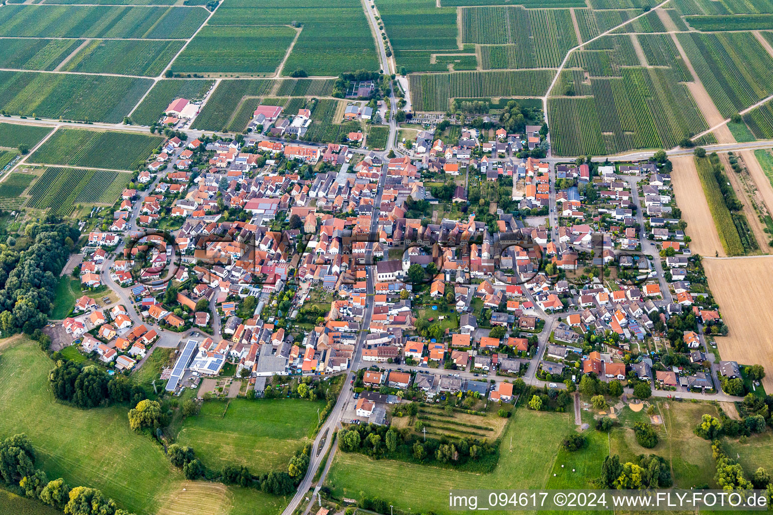 Dorf - Ansicht am Rande von landwirtschaftlichen Feldern und Nutzflächen in Venningen im Bundesland Rheinland-Pfalz, Deutschland aus der Luft
