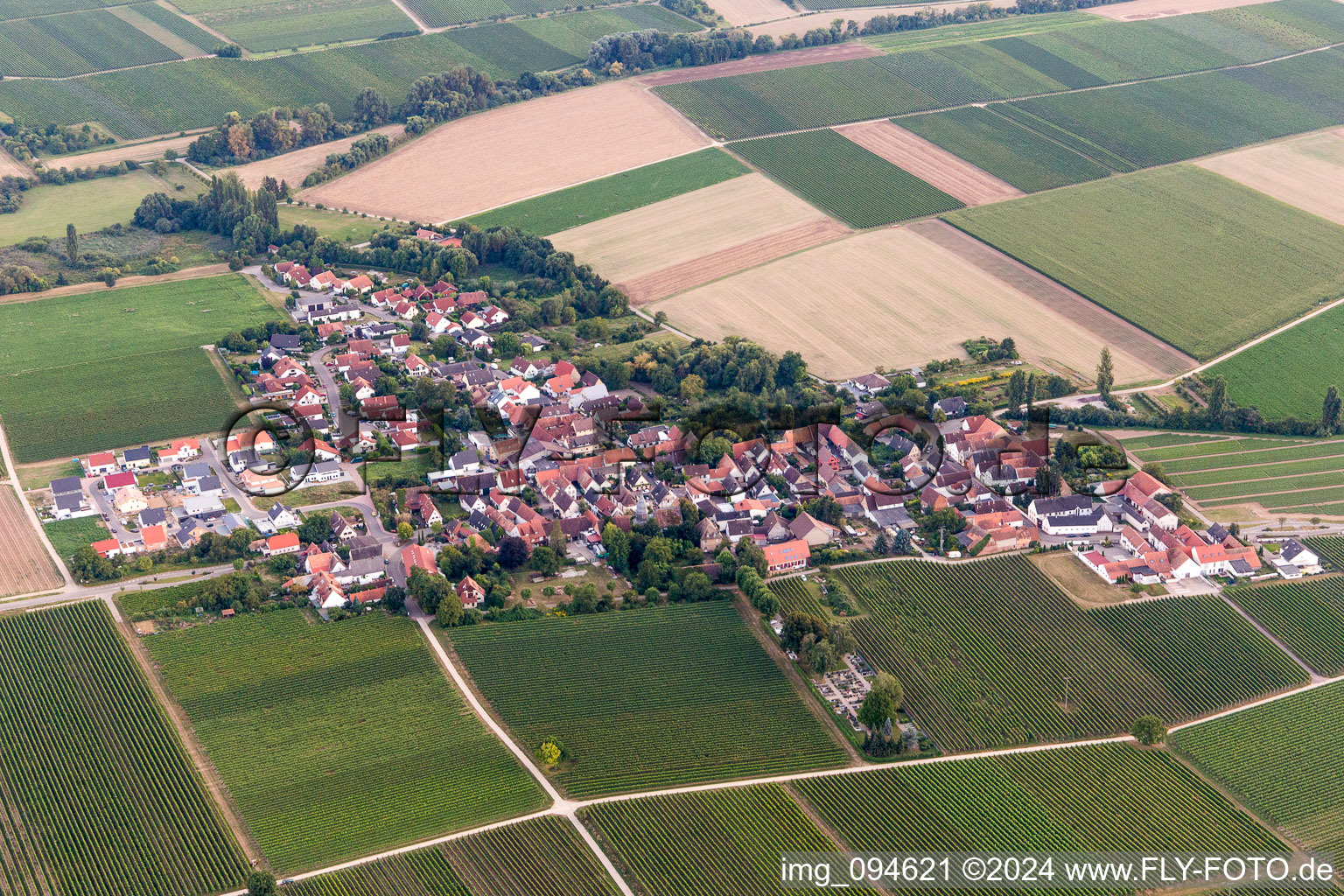 Dorf - Ansicht am Rande von landwirtschaftlichen Feldern und Nutzflächen in Kleinfischlingen im Bundesland Rheinland-Pfalz, Deutschland