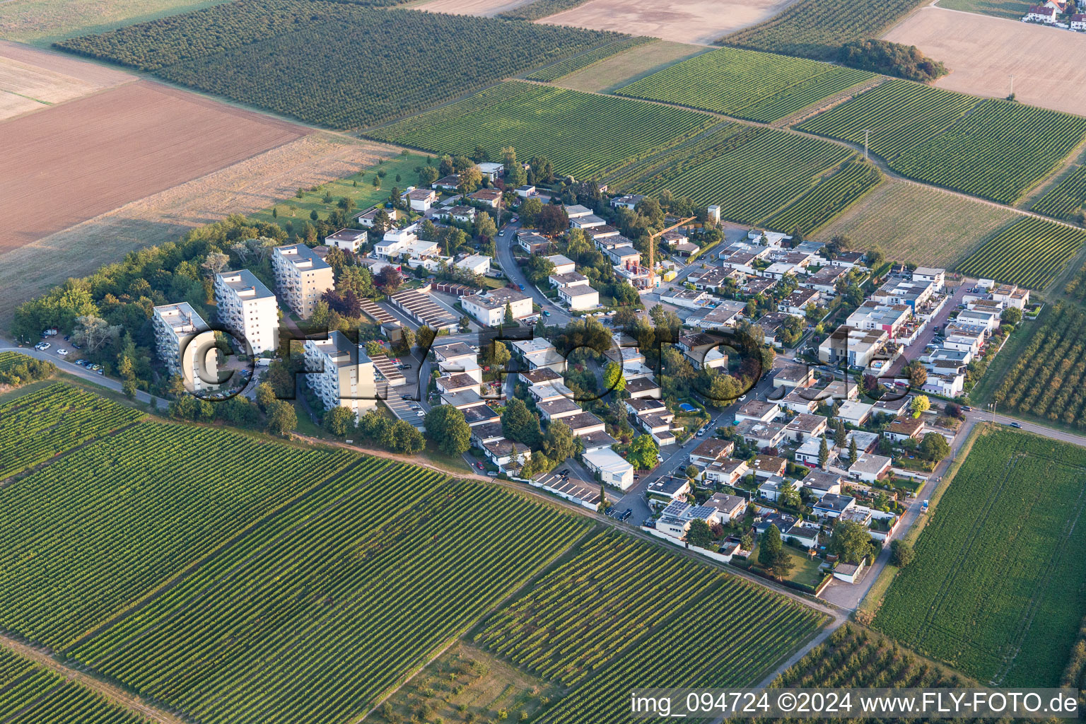 Stadtteil Goldbergstraße im Stadtgebiet in Nieder-Olm im Bundesland Rheinland-Pfalz, Deutschland