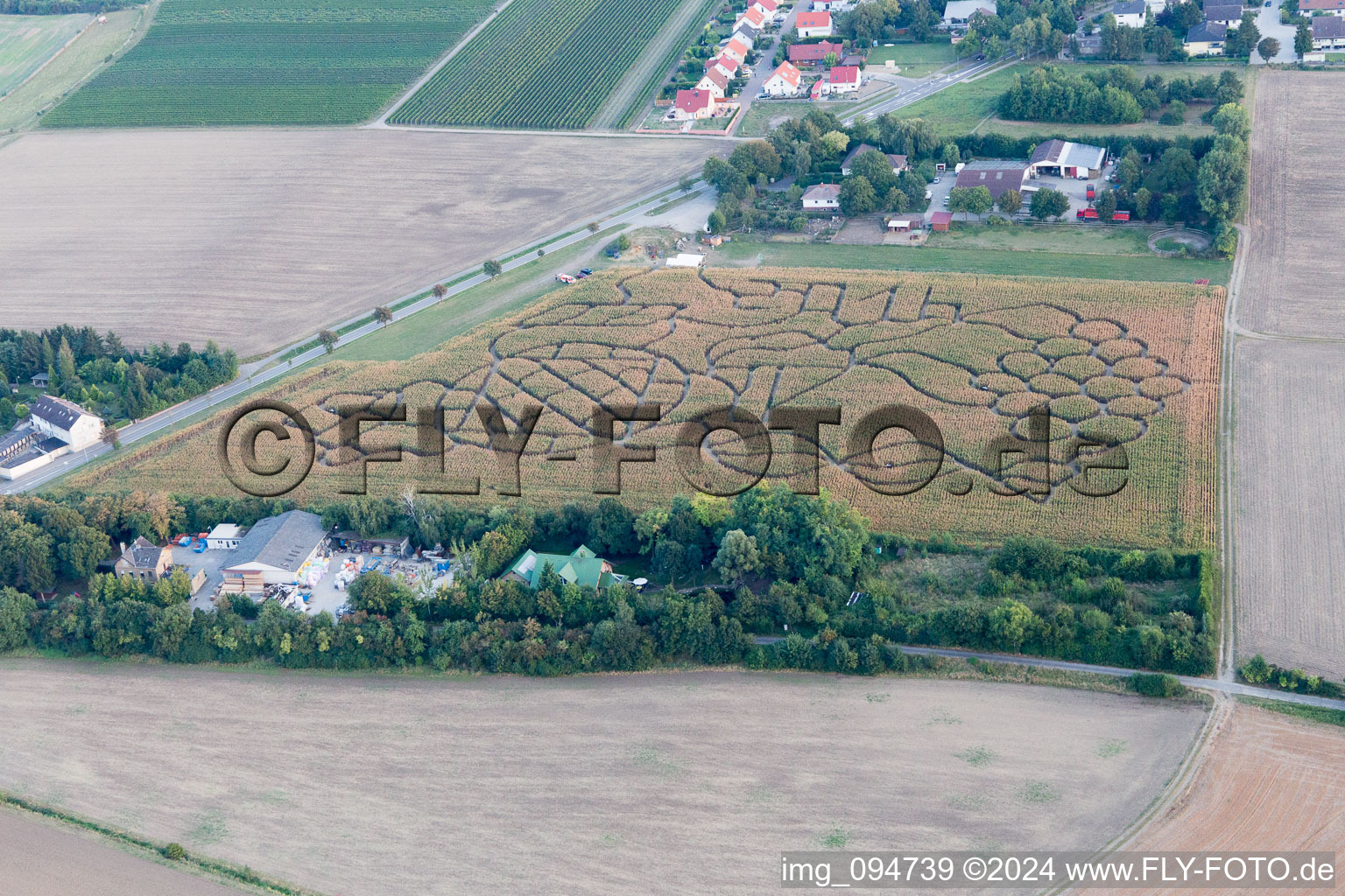 Luftbild von Irrgarten - Labyrinth mit den Umrissen einer Weintraube auf einem Feld im Ortsteil Wahlheimer Hof in Dalheim im Bundesland Rheinland-Pfalz, Deutschland