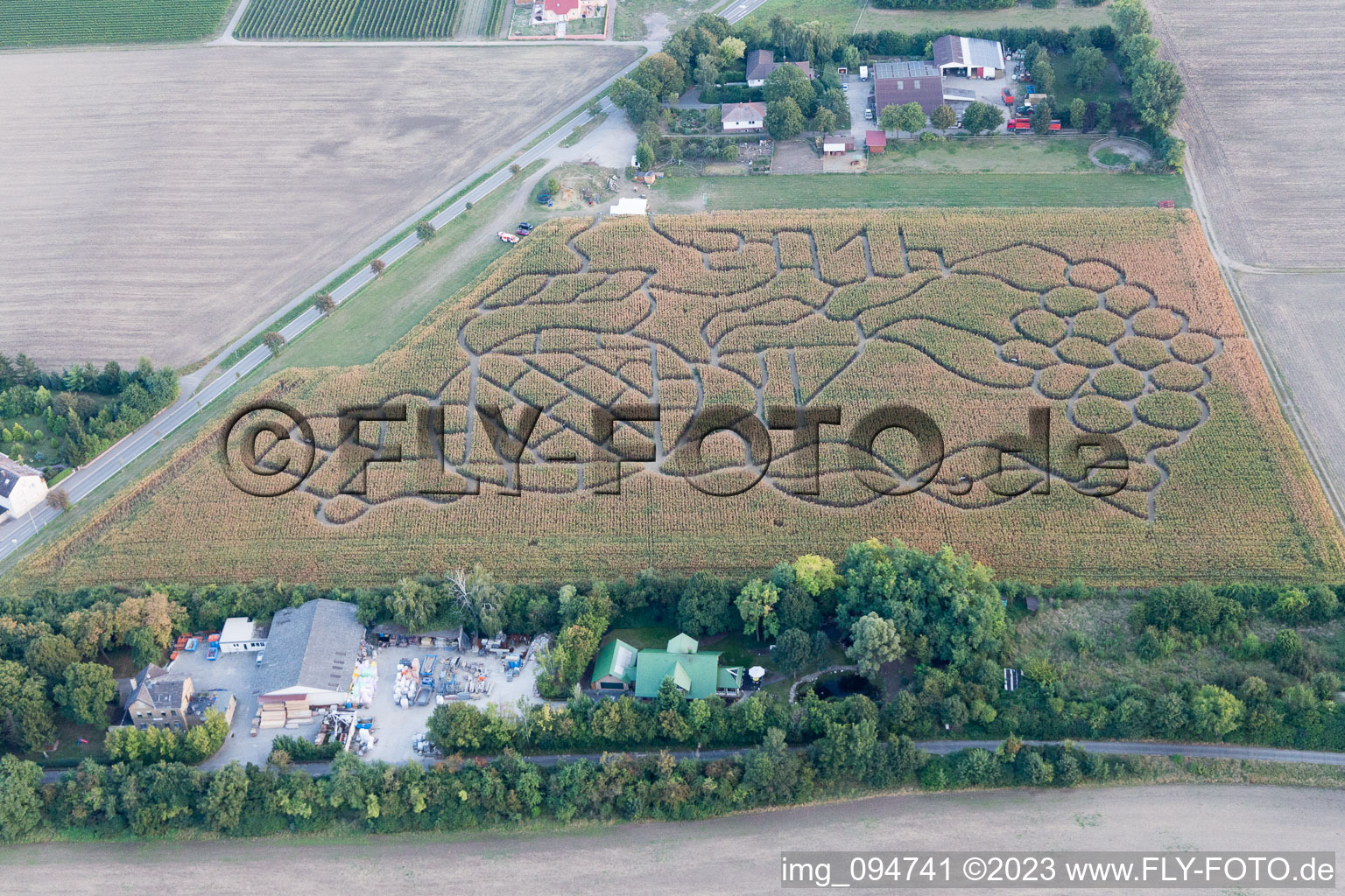 Luftaufnahme von Dalheim, Maislabyrinth im Bundesland Rheinland-Pfalz, Deutschland
