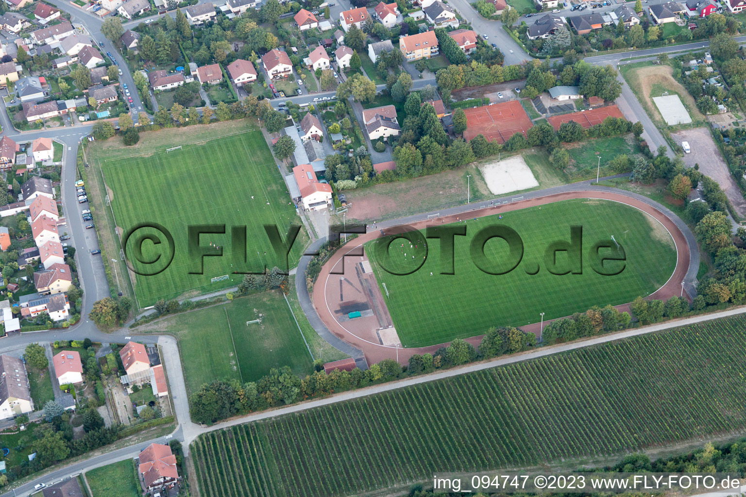 Guntersblum im Bundesland Rheinland-Pfalz, Deutschland aus der Drohnenperspektive