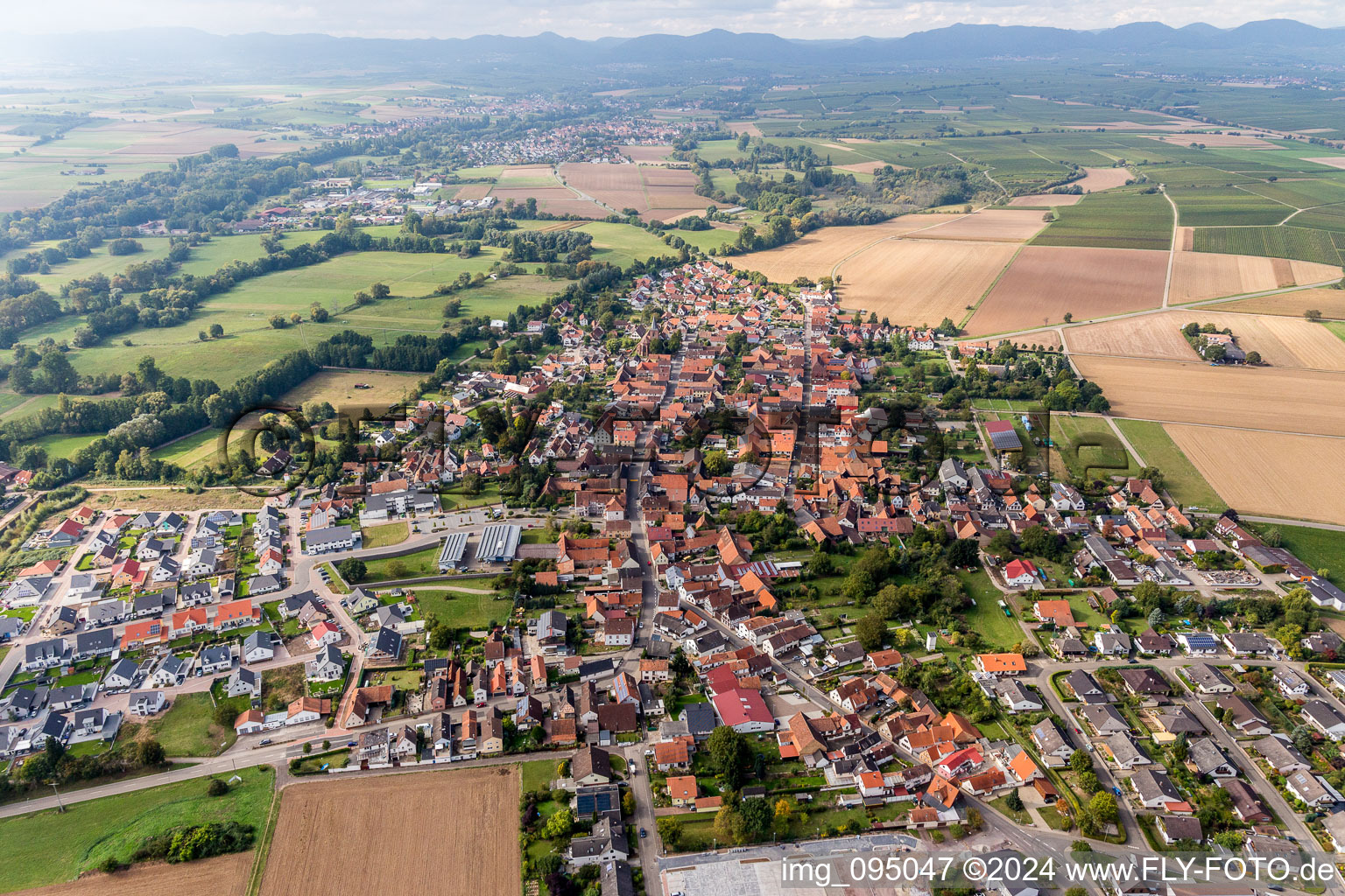 Schrägluftbild von Dorf - Ansicht am Rande von landwirtschaftlichen Feldern und Nutzflächen in Rohrbach im Bundesland Rheinland-Pfalz, Deutschland