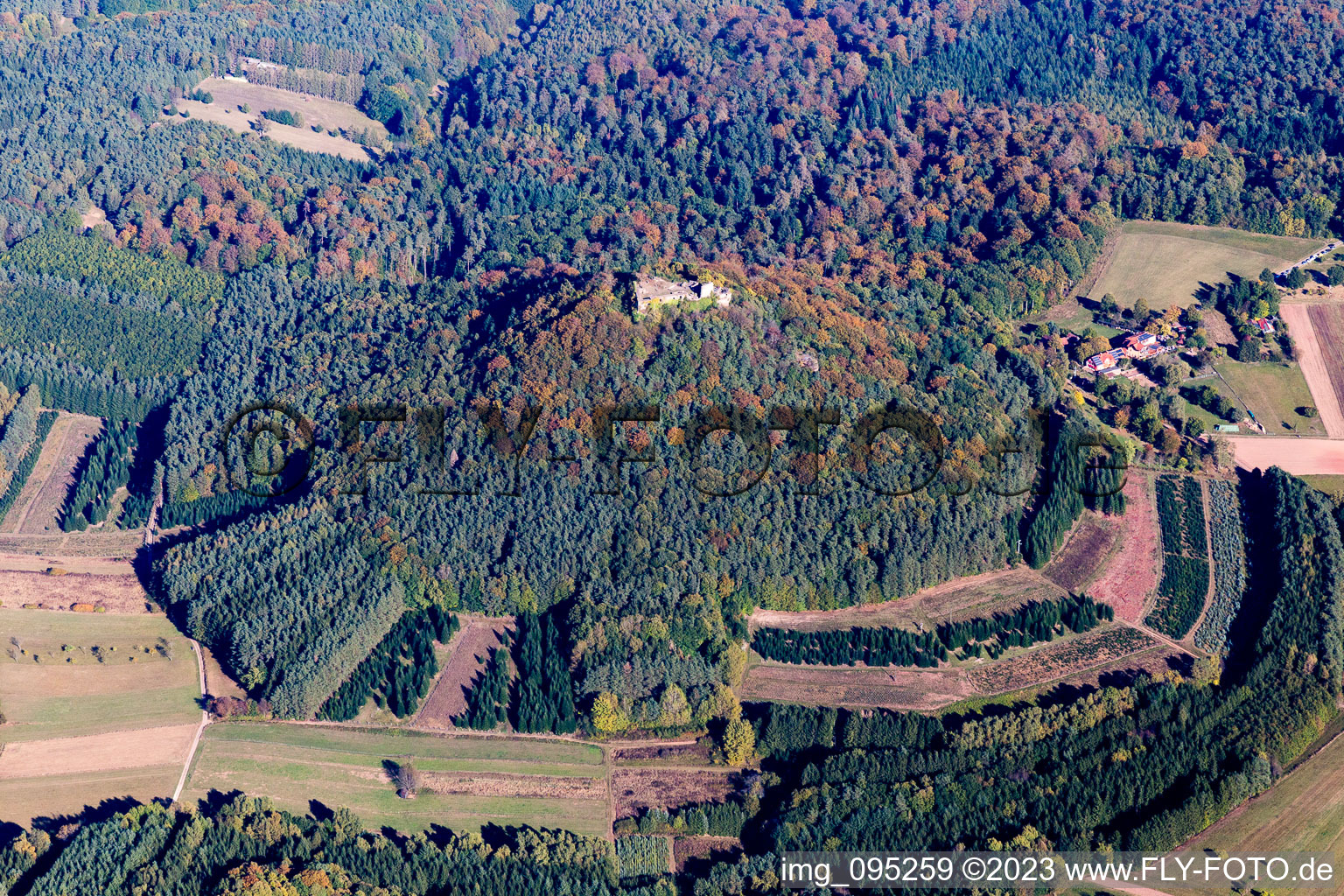 Luftbild von Vorderweidenthal, Ruine Lindenfels im Bundesland Rheinland-Pfalz, Deutschland