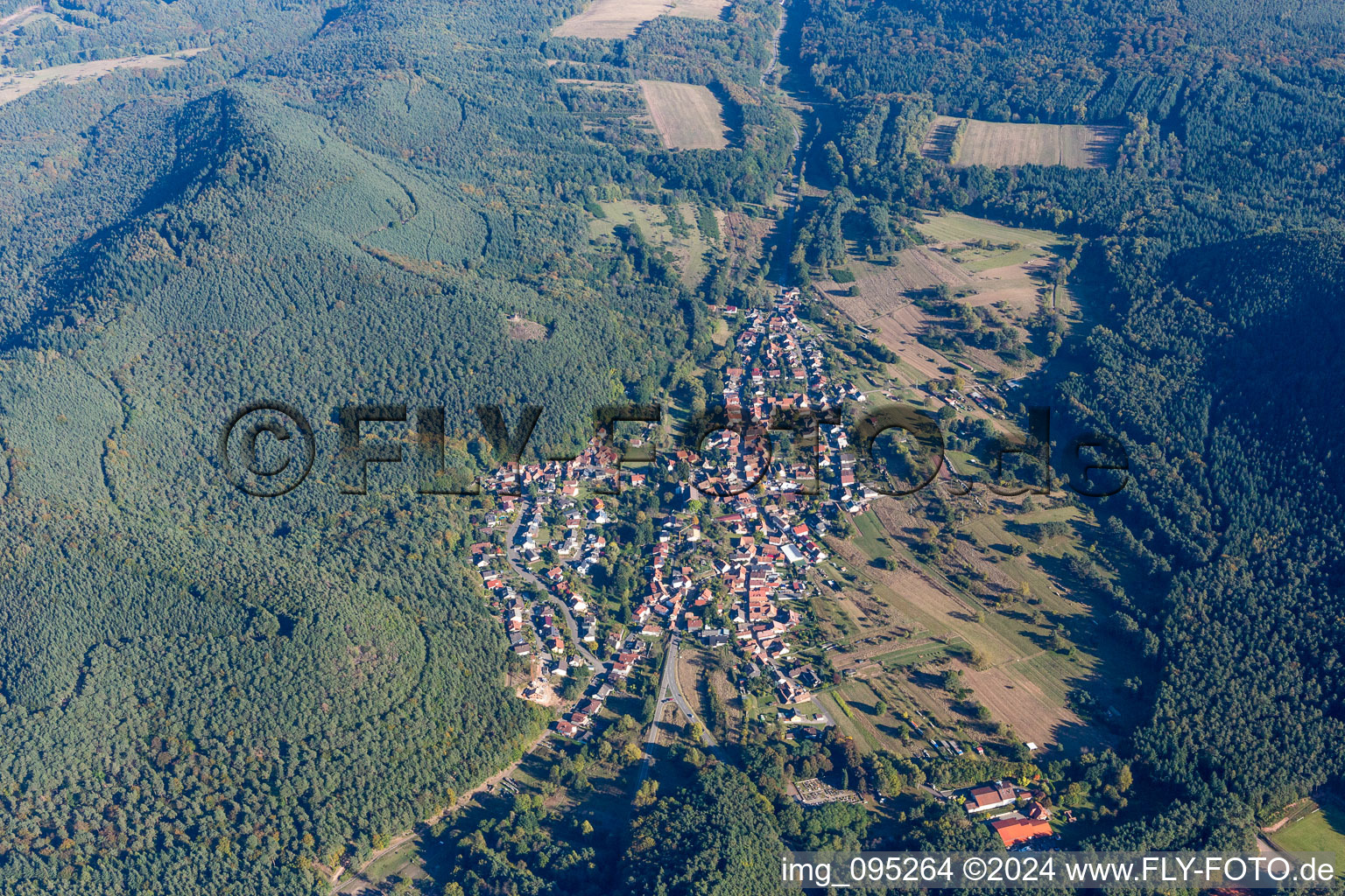 Luftbild von Dorf - Ansicht am Rande von landwirtschaftlichen Feldern und Nutzflächen in Birkenhördt im Bundesland Rheinland-Pfalz, Deutschland