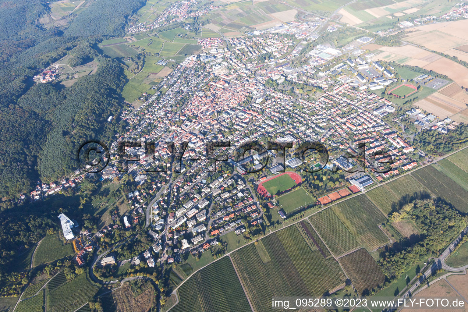 Bad Bergzabern im Bundesland Rheinland-Pfalz, Deutschland vom Flugzeug aus