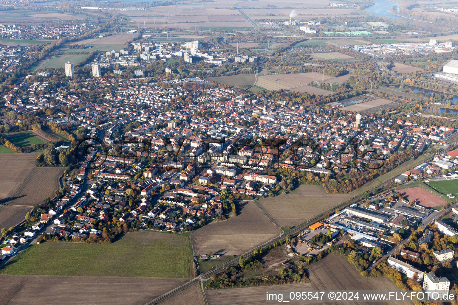 Ortsansicht der Straßen und Häuser der Wohngebiete im Ortsteil Edigheim in Ludwigshafen am Rhein im Bundesland Rheinland-Pfalz, Deutschland