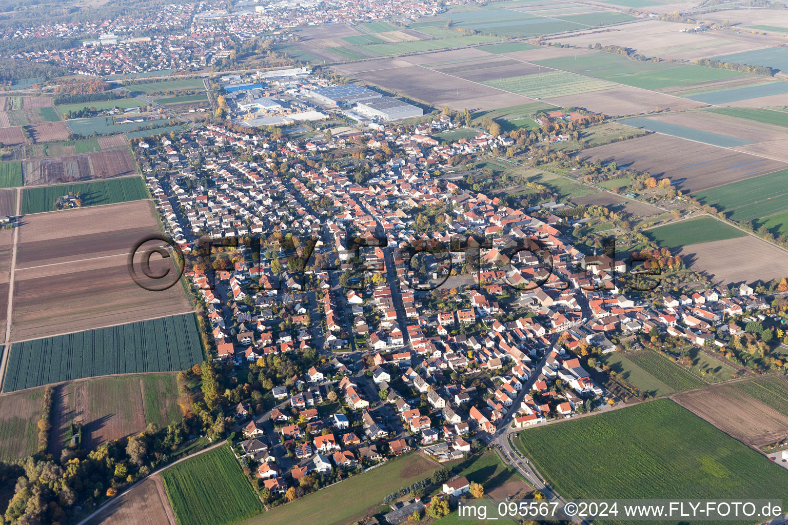 Dorf - Ansicht am Rande von landwirtschaftlichen Feldern und Nutzflächen in Fußgönheim im Bundesland Rheinland-Pfalz, Deutschland