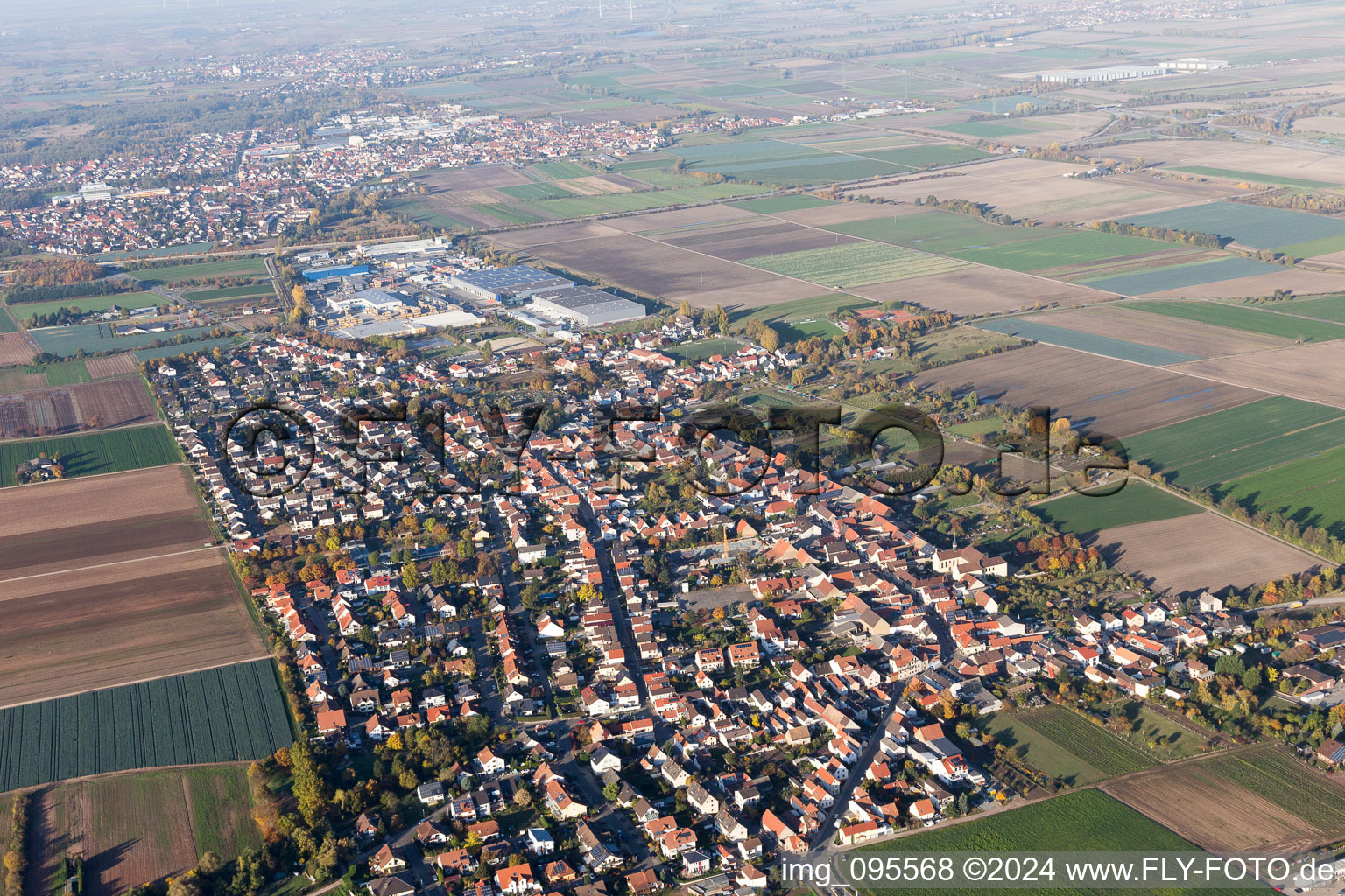 Fußgönheim im Bundesland Rheinland-Pfalz, Deutschland von oben gesehen