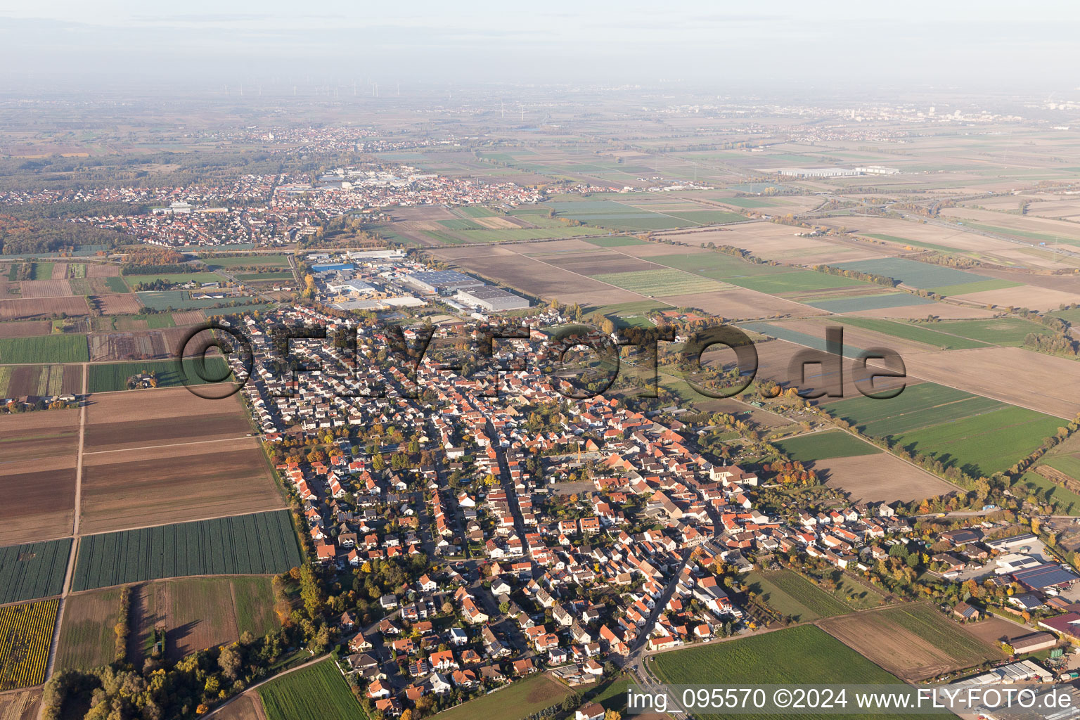 Fußgönheim im Bundesland Rheinland-Pfalz, Deutschland aus der Vogelperspektive