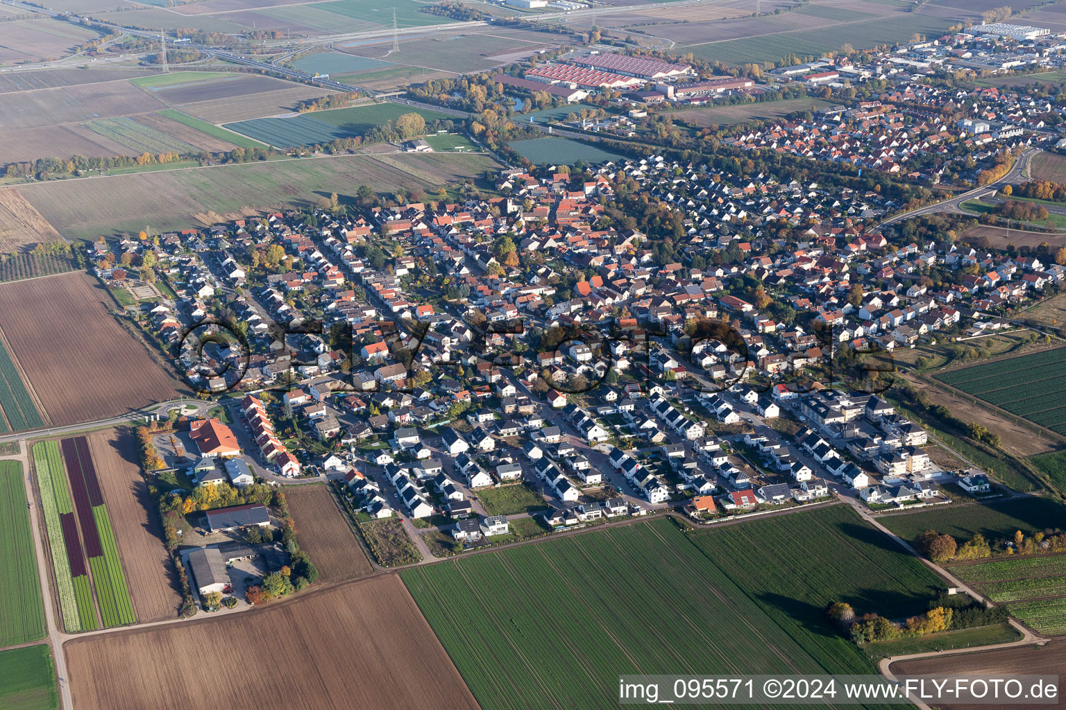 Ortsansicht der Straßen und Häuser der Wohngebiete im Ortsteil Schauernheim in Dannstadt-Schauernheim im Bundesland Rheinland-Pfalz, Deutschland